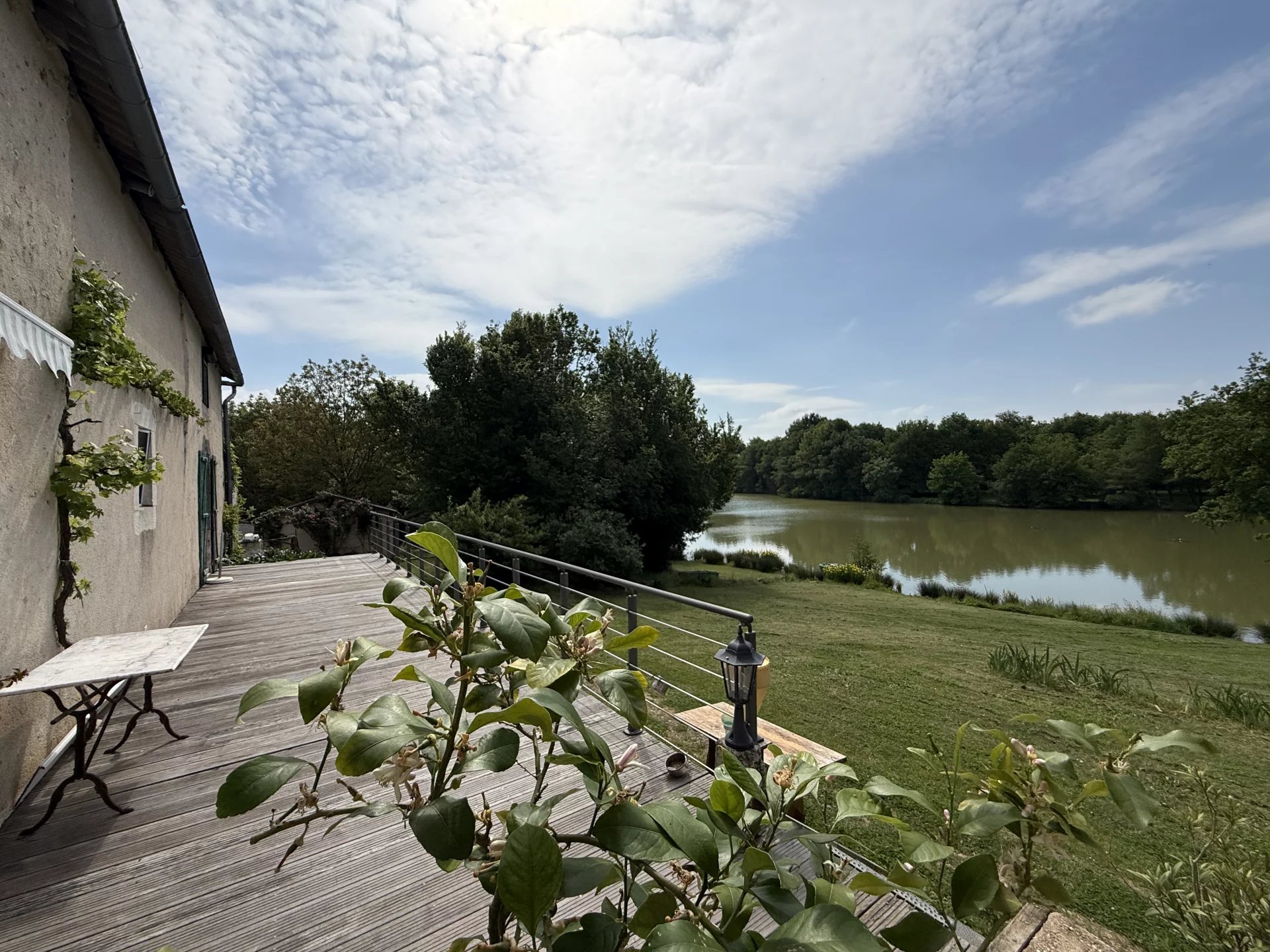 Exceptional location, 2 properties, a fishing pond and a business opportunity, Poitou-Charentes – France – BVI80731