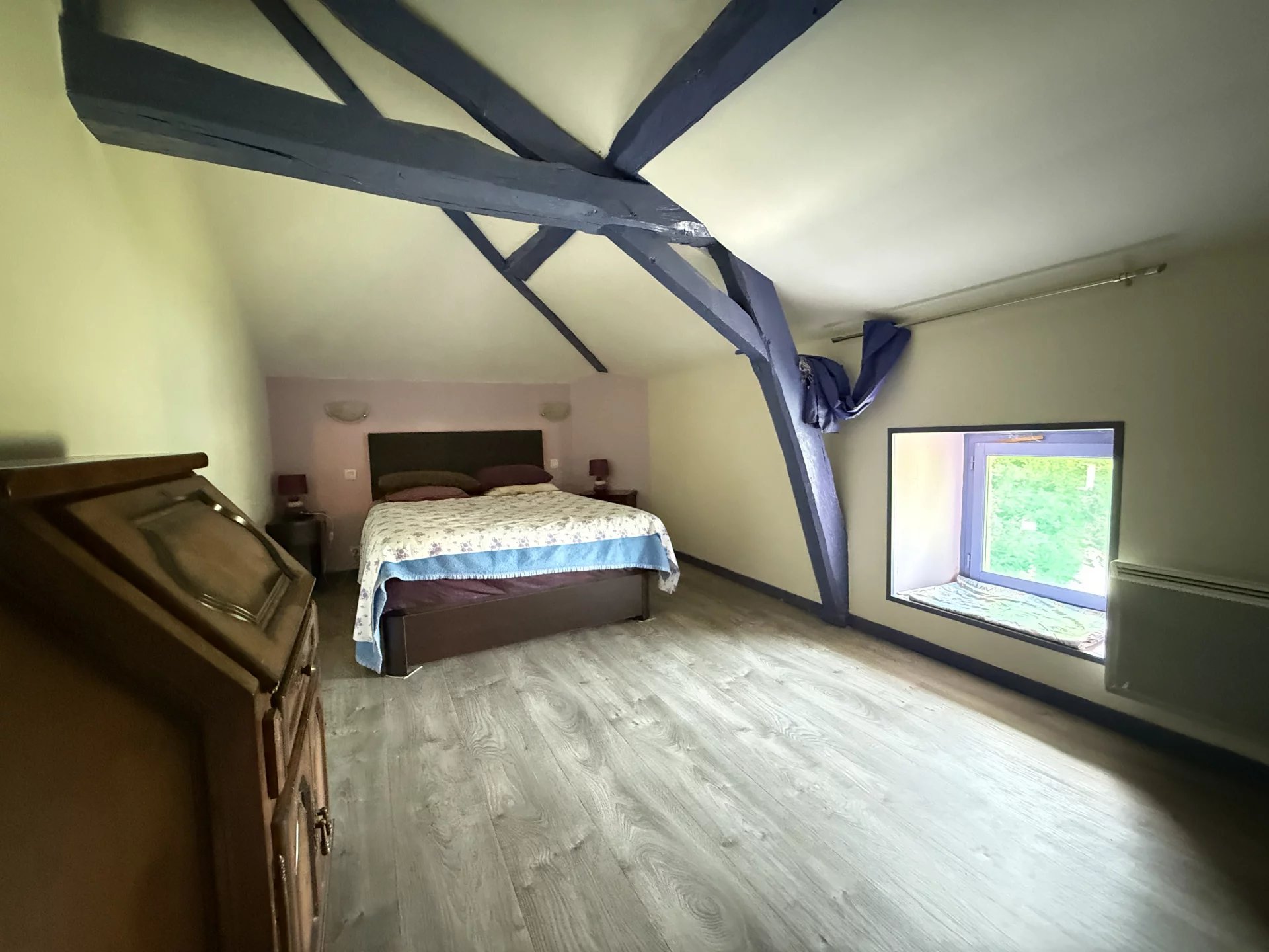 Exceptional location, 2 properties, a fishing pond and a business opportunity, Poitou-Charentes – France – BVI80731