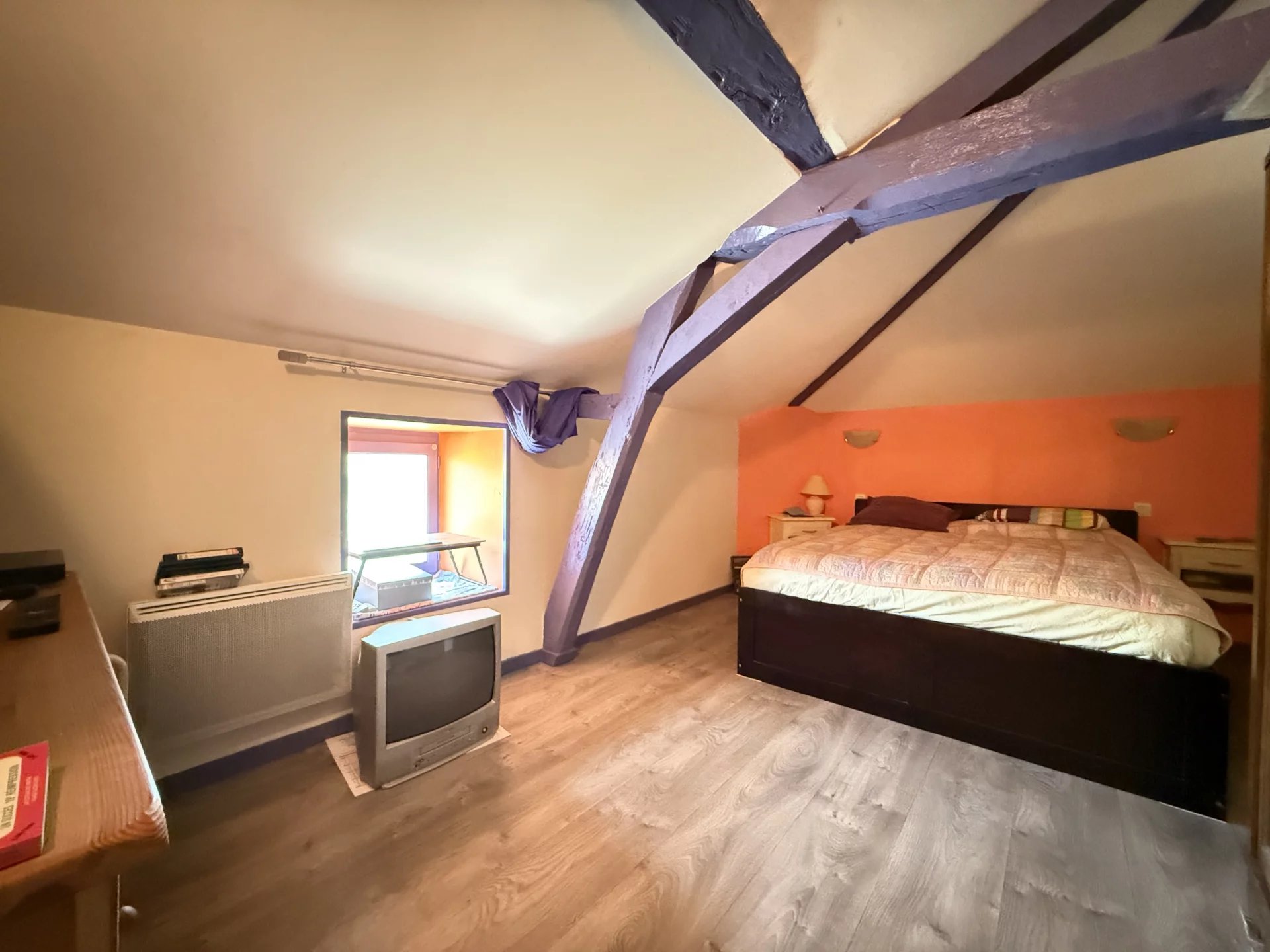 Exceptional location, 2 properties, a fishing pond and a business opportunity, Poitou-Charentes – France – BVI80731