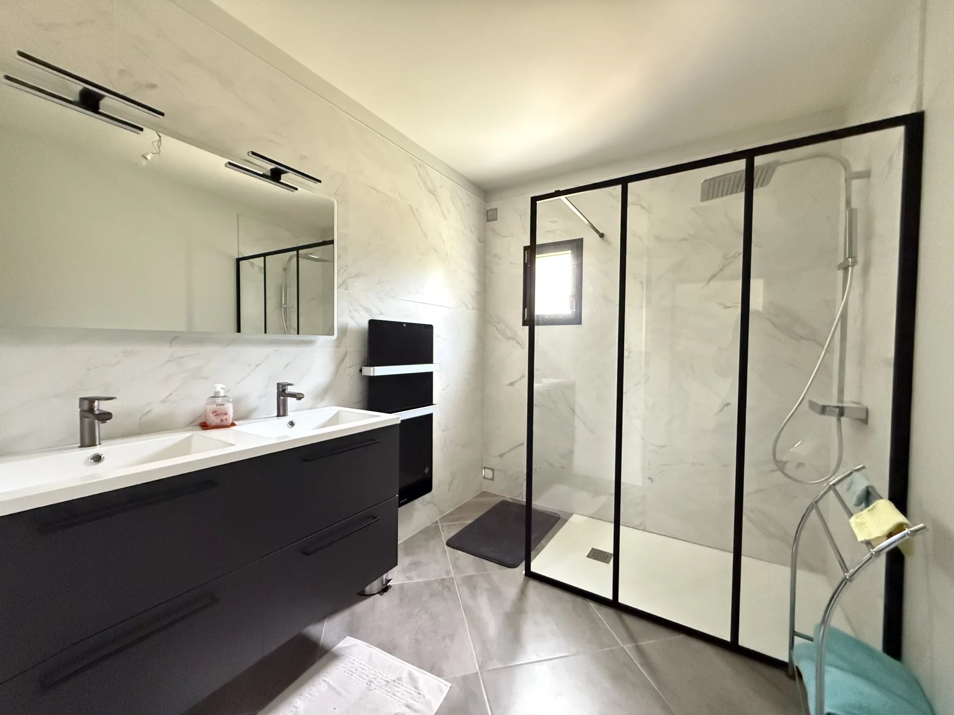 Exceptional location, 2 properties, a fishing pond and a business opportunity, Poitou-Charentes – France – BVI80731