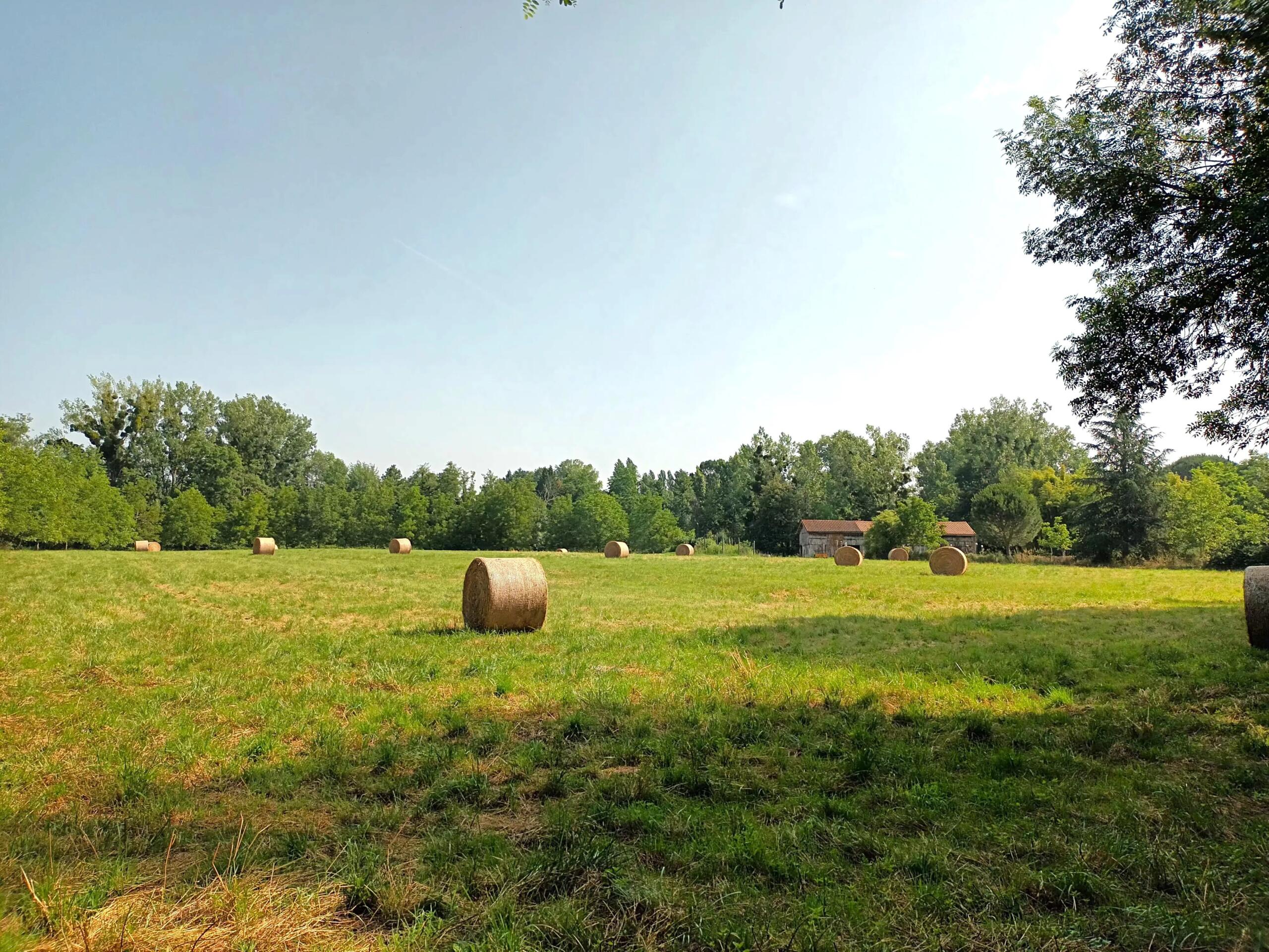 Perigourdine farmhouse with meadow in Bergerac, Aquitaine – France – BVI81407