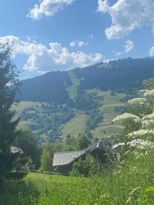 terrain in Megeve, Haute-Savoie, France