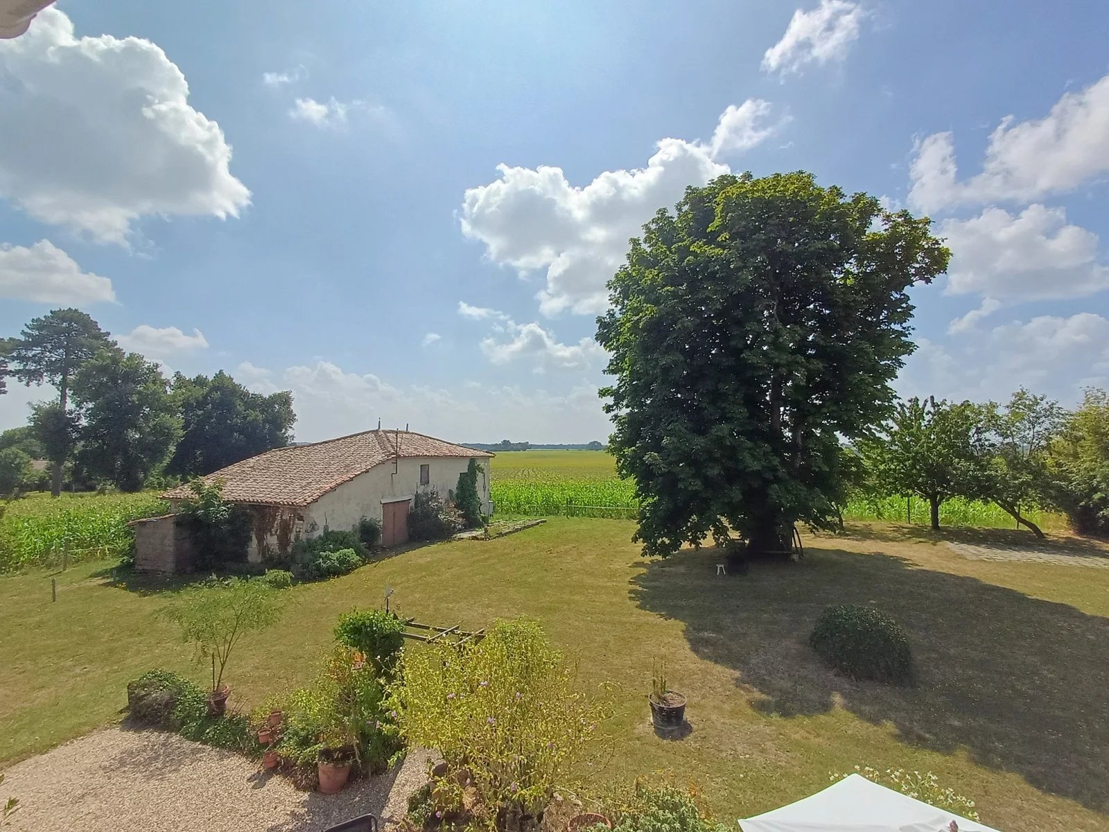 Large Charentaise Farmhouse with Stunning Views and Gîte Potential, Poitou-Charentes – France – BVI81240