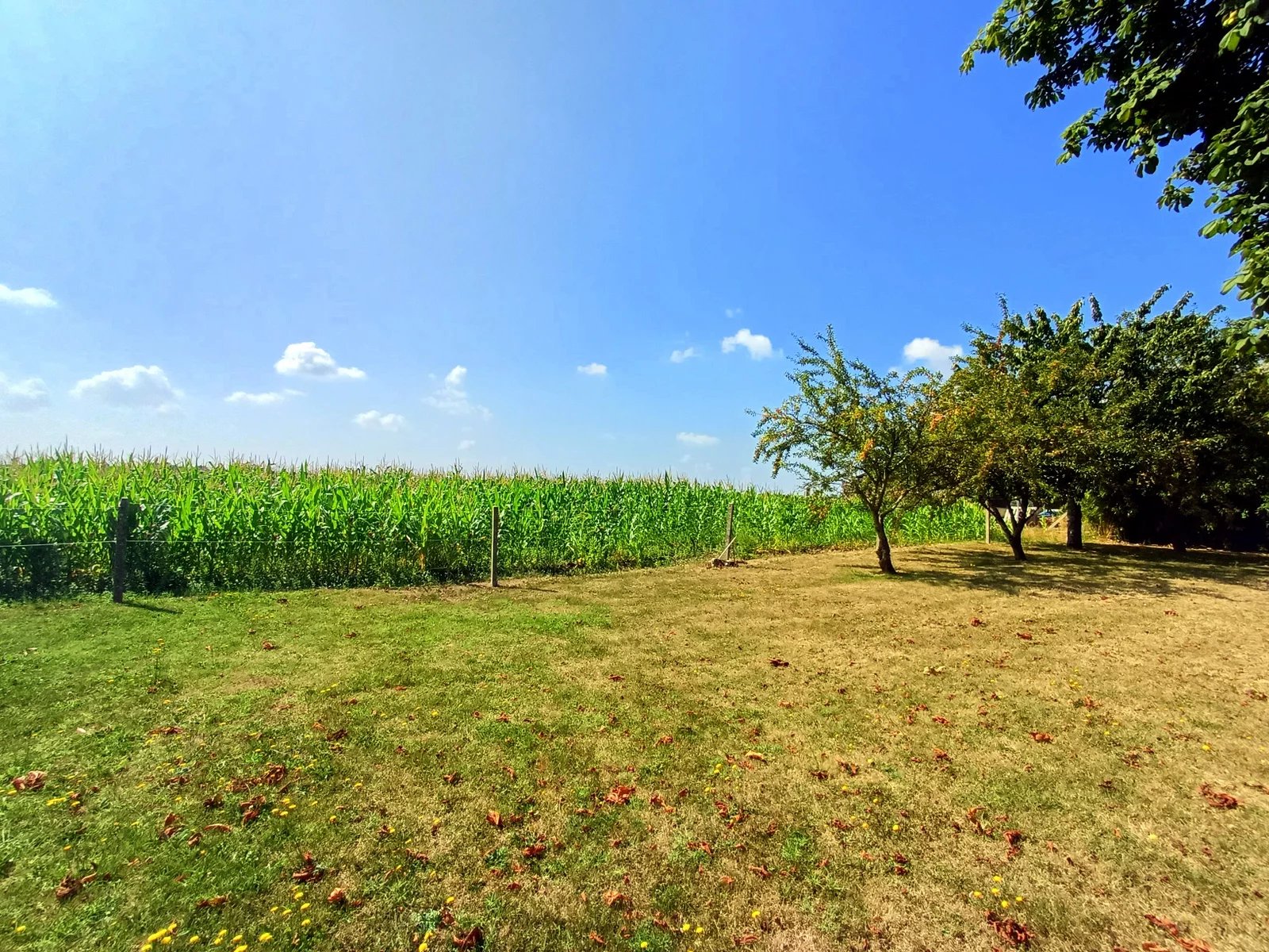Large Charentaise Farmhouse with Stunning Views and Gîte Potential, Poitou-Charentes – France – BVI81240