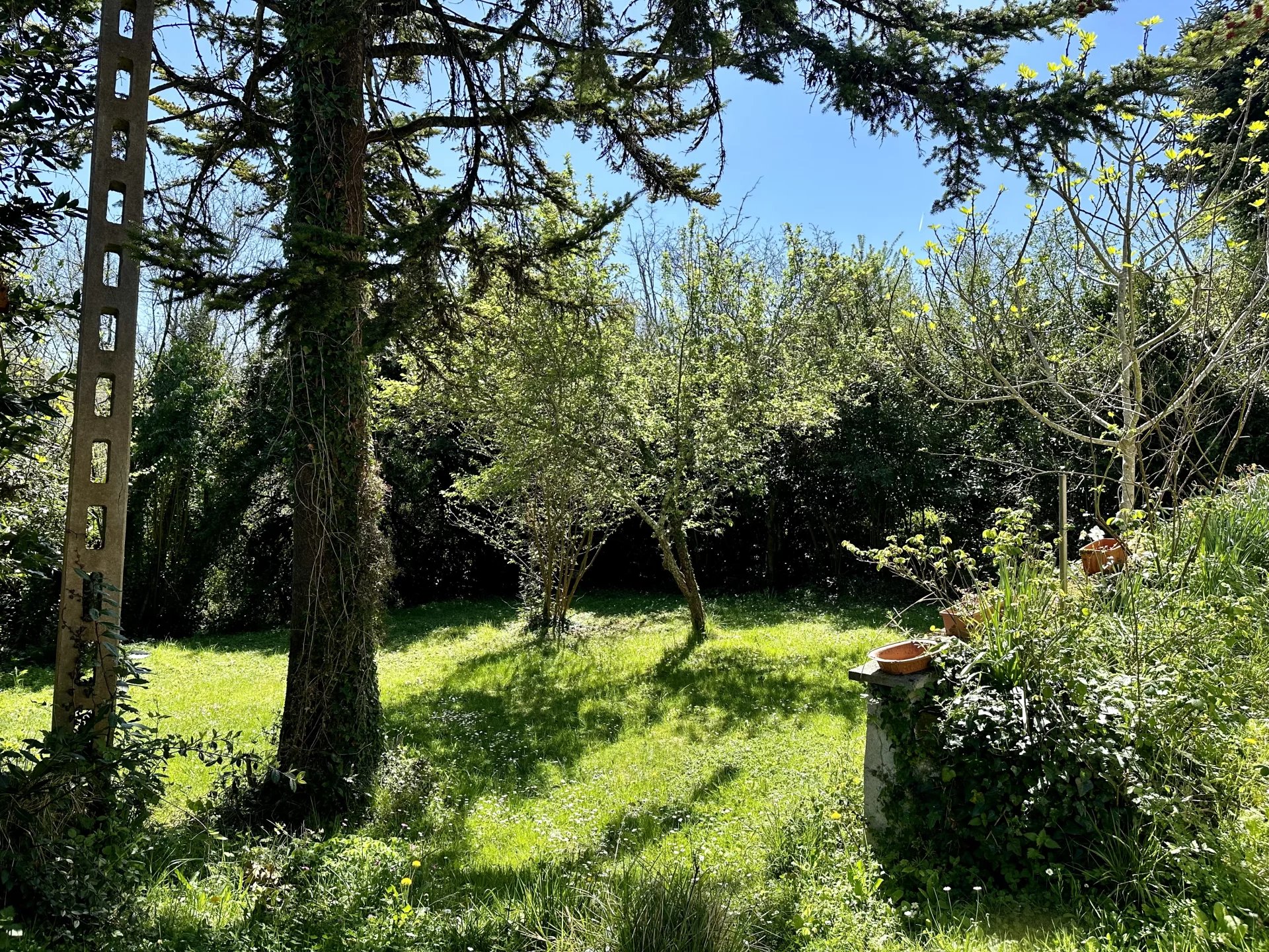 Traditional stone house in a pretty hamlet, Poitou-Charentes – France – BVI80435