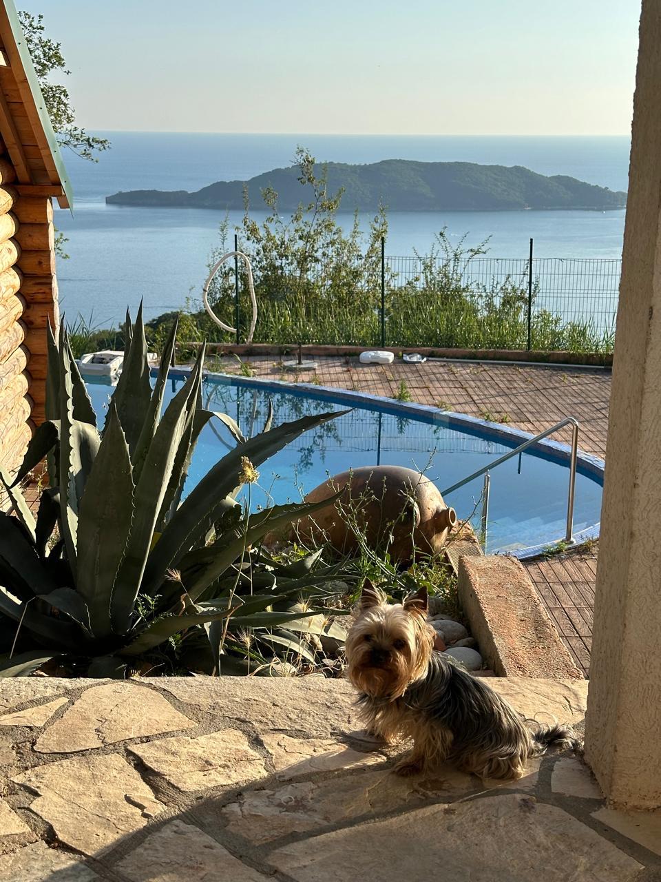 Villa for Sale in Podbabac Budva – 286 m² with Pool & Sauna, Montenegro – MRENB96