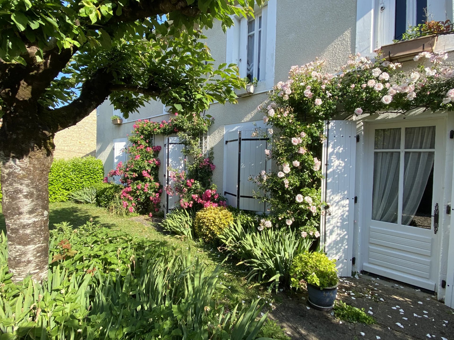 Lovely 3 bed house with in-ground pool, 2 guest houses and potential to create a third, Poitou-Charentes – France – BVI71520