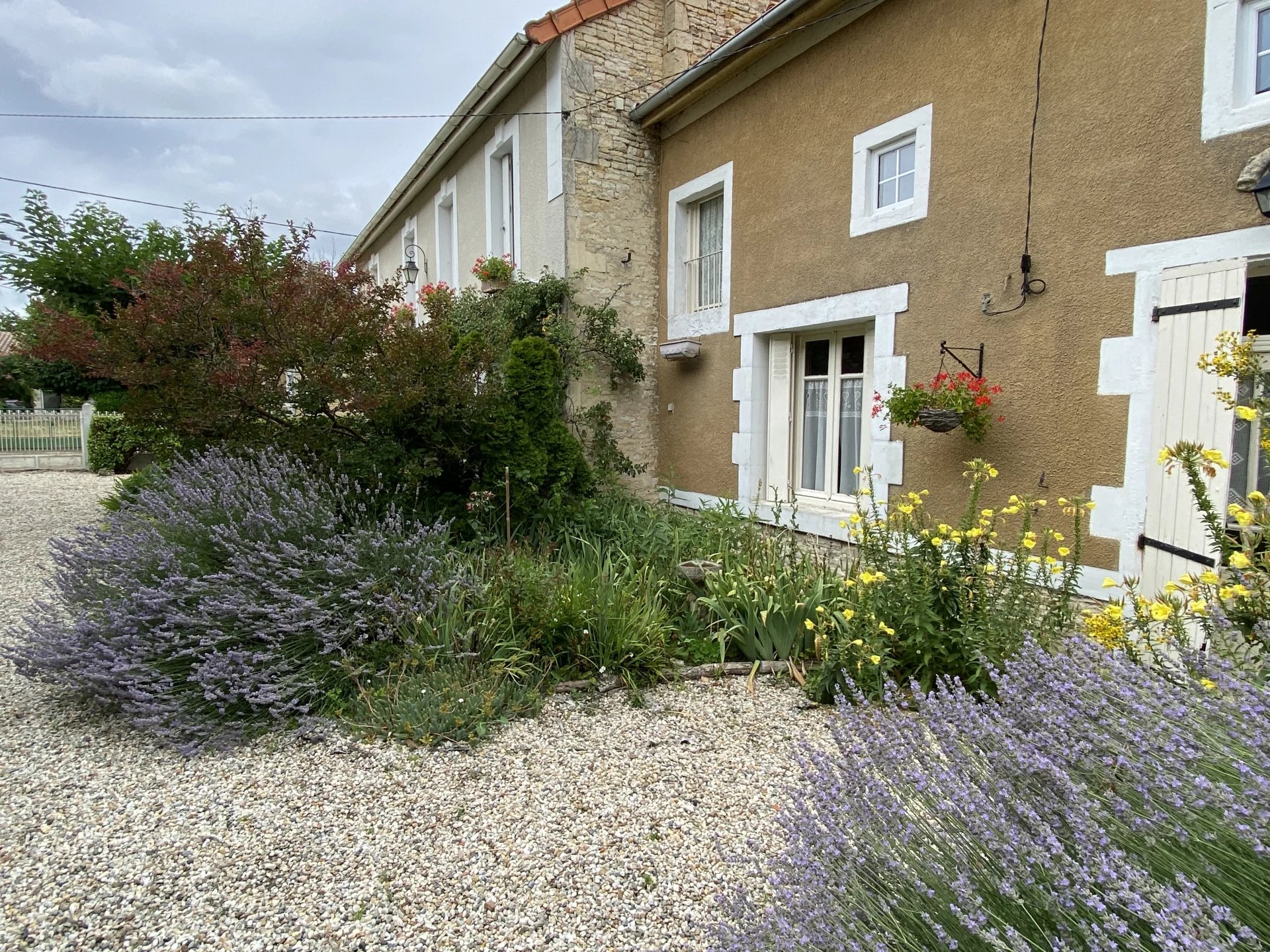 Lovely 3 bed house with in-ground pool, 2 guest houses and potential to create a third, Poitou-Charentes – France – BVI71520