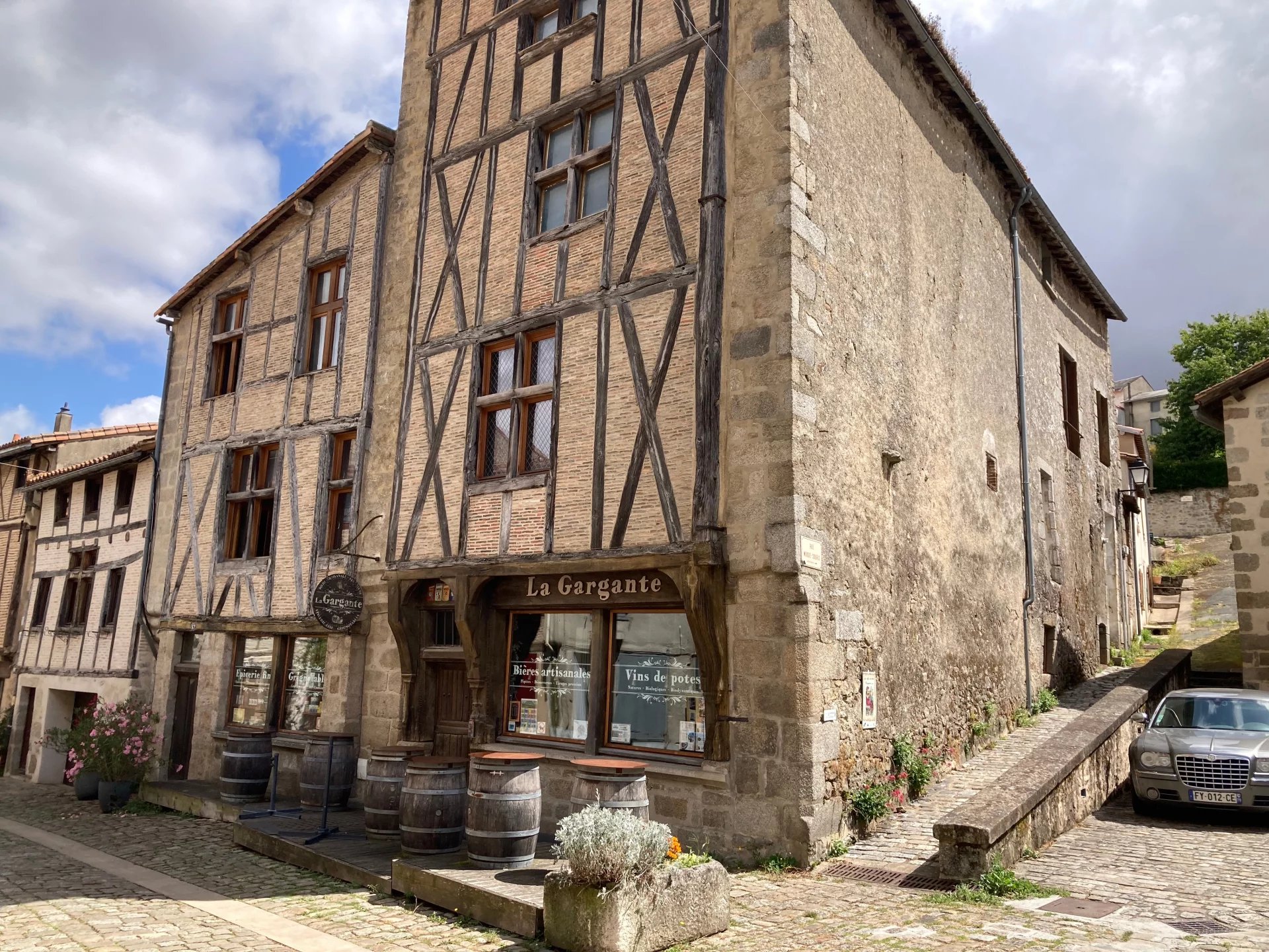 Stunning merchant house in historic quarter, Poitou-Charentes – France – BVI81868