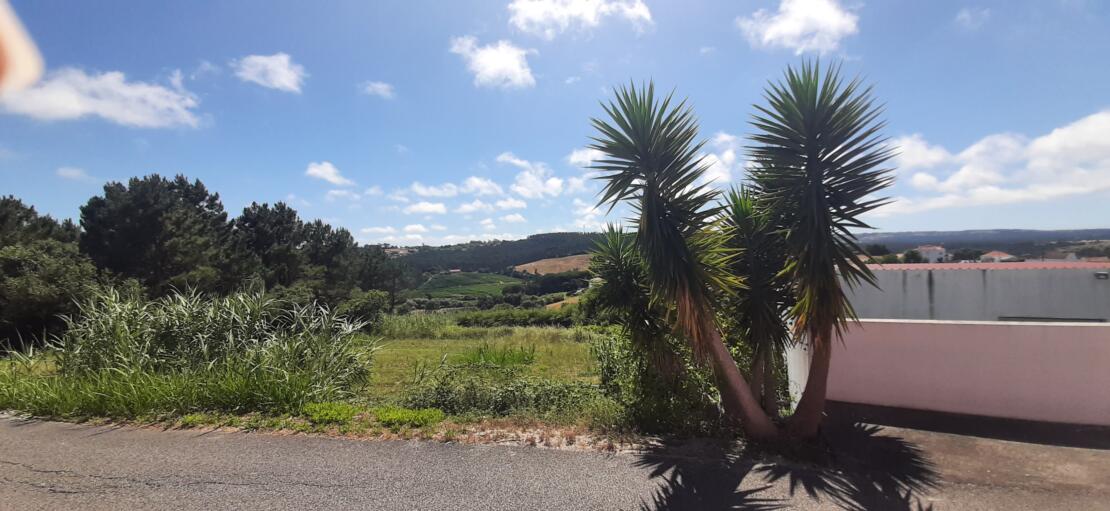 Single storey 3 bedroom villa with pool near Caldas da Rainha