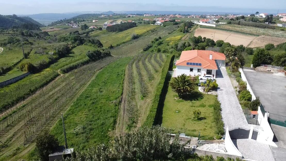 Magnificent 5 bedroom villa with outstanding views over the countryside to the sea. Alcobaça