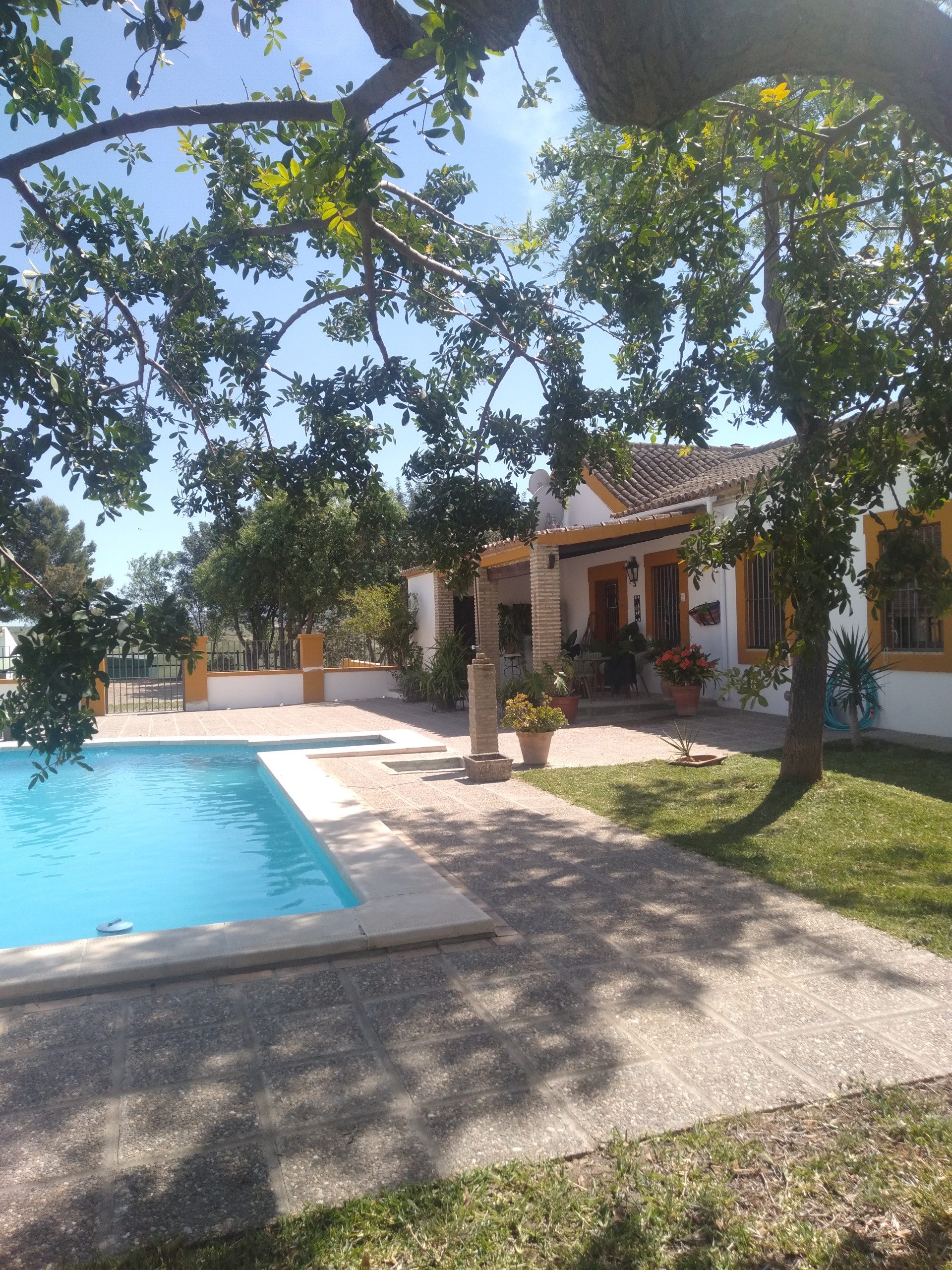 4 bedroom Finca in Moron De La Frontera, Sevilla, Spain – 428-04790P