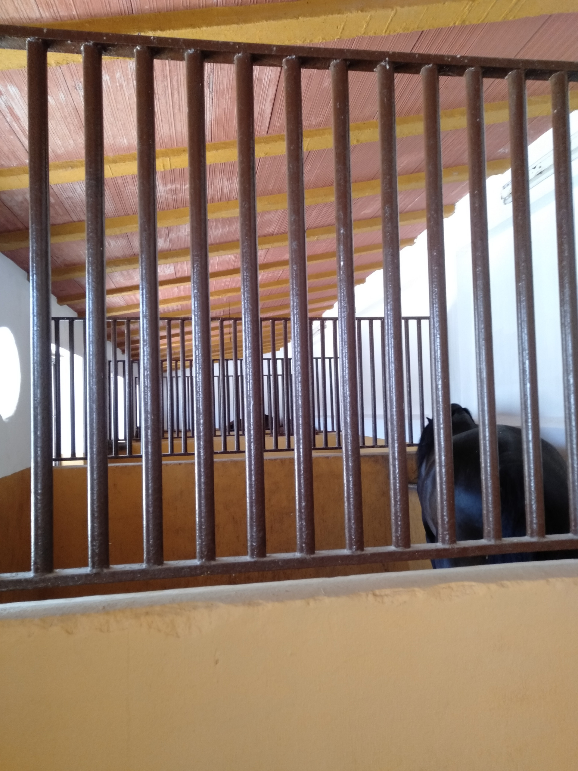 4 bedroom Finca in Moron De La Frontera, Sevilla, Spain – 428-04790P