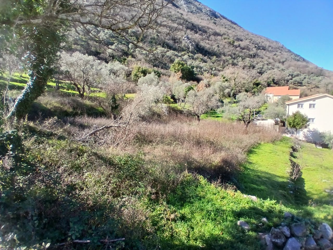 in Stoliv, Montenegro – CMM53141