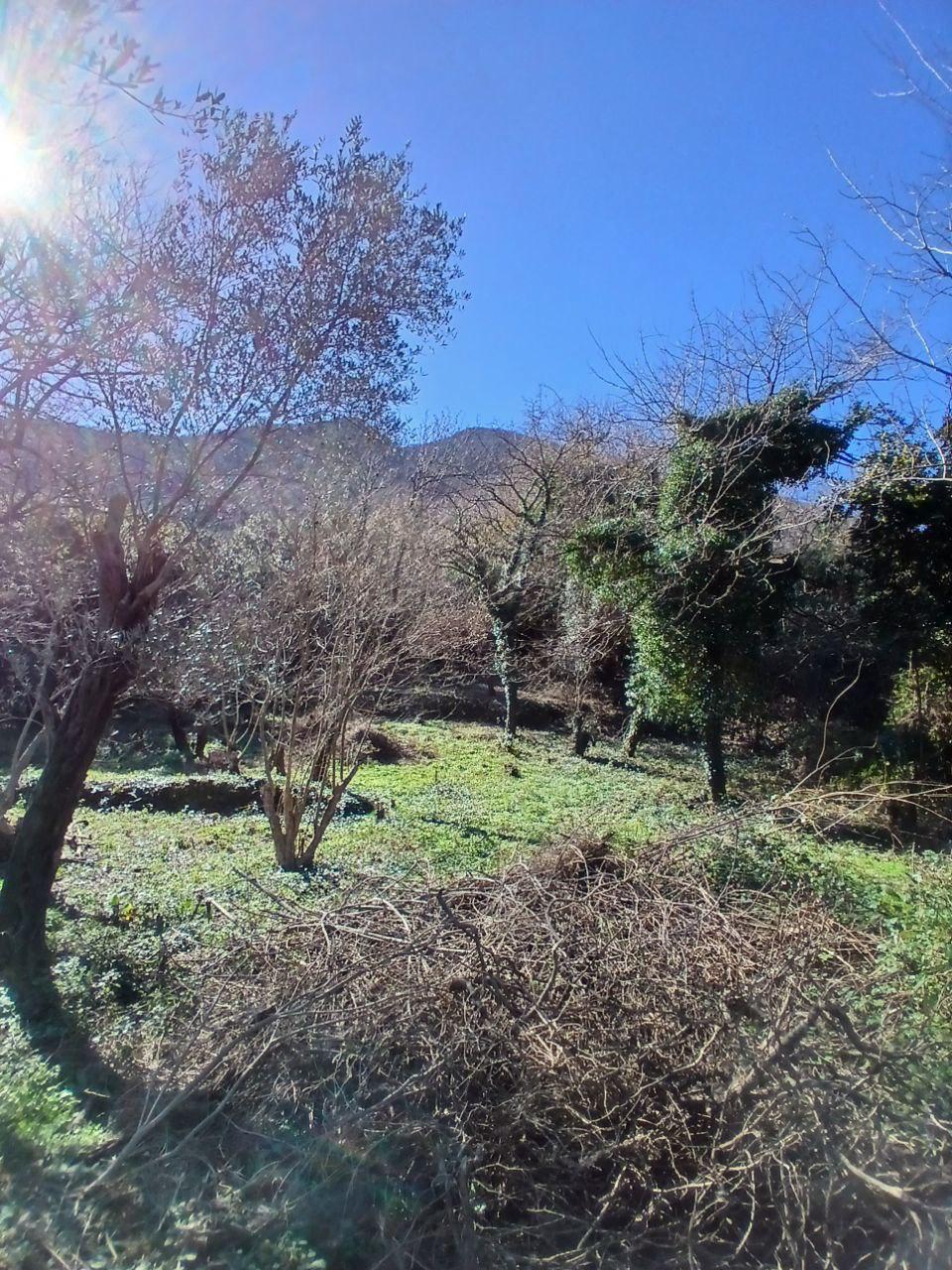 Plot in Stoliv, Montenegro – CMM53140