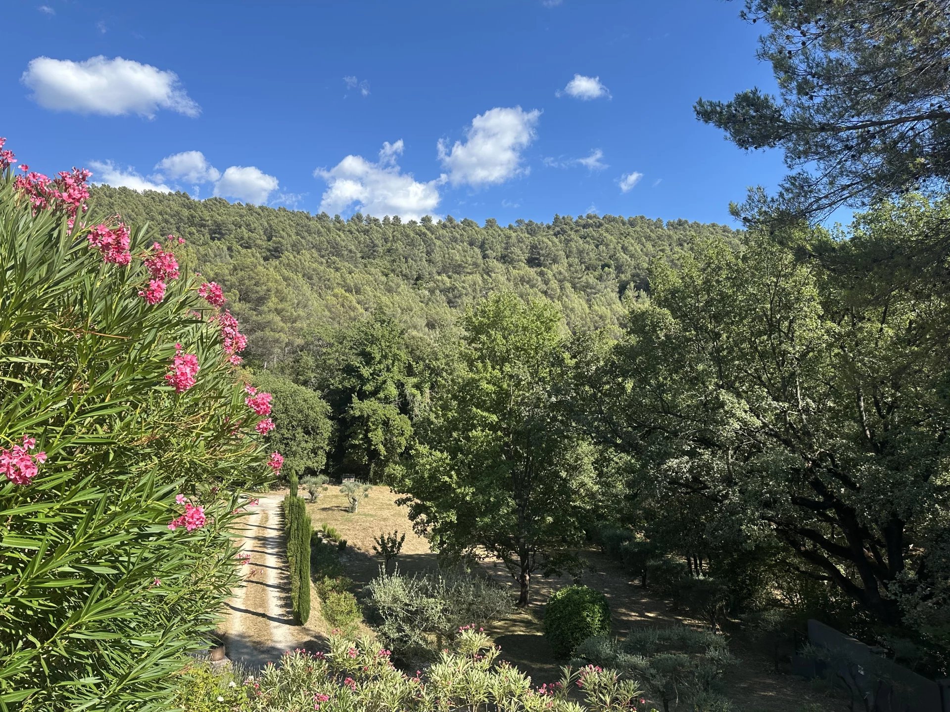 Propriété d’exception aux portes d’Auriol, Provence-Alpes-Côte d’Azur – France – BVI82175