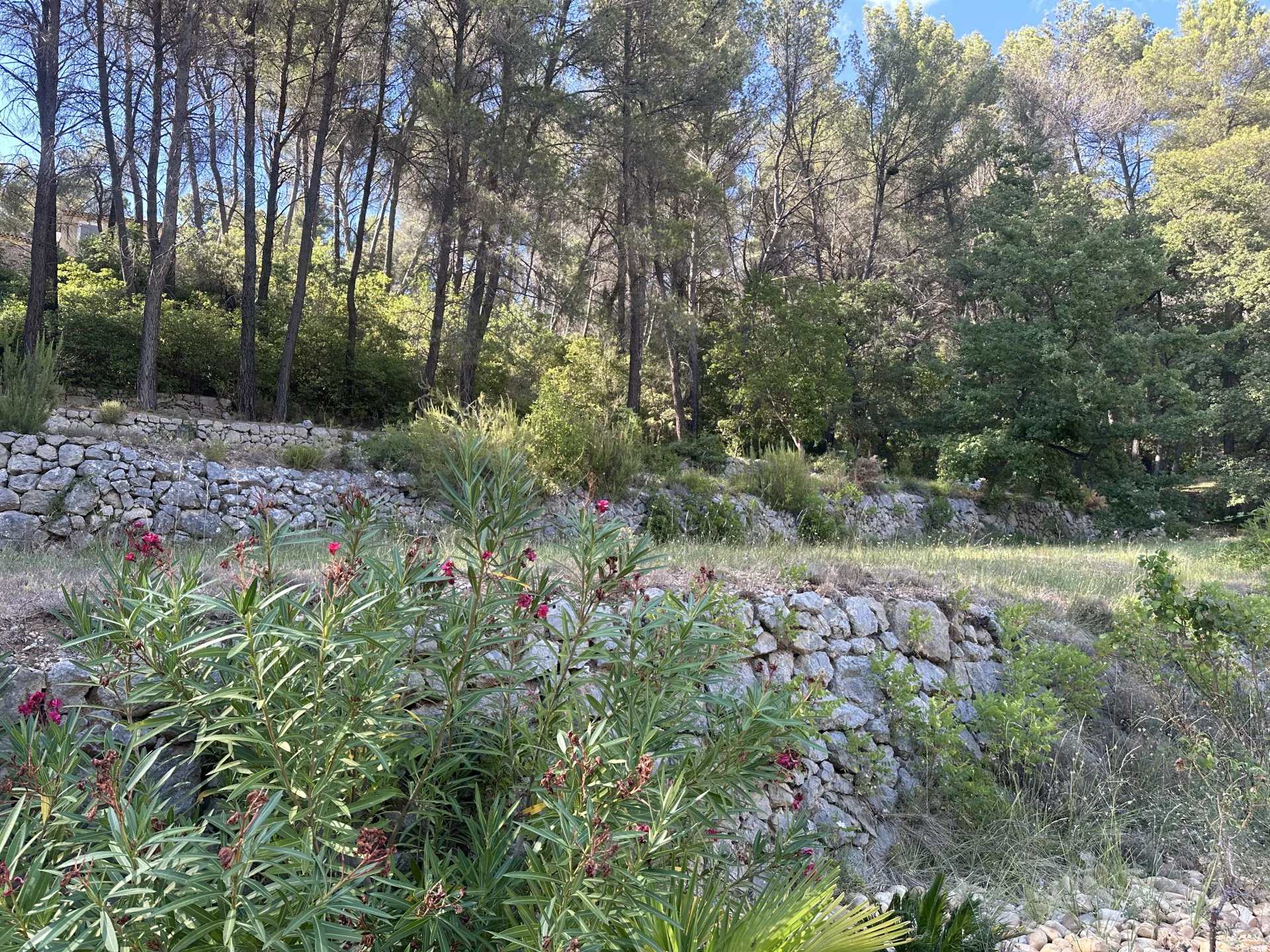 Propriété d’exception aux portes d’Auriol, Provence-Alpes-Côte d’Azur – France – BVI82175