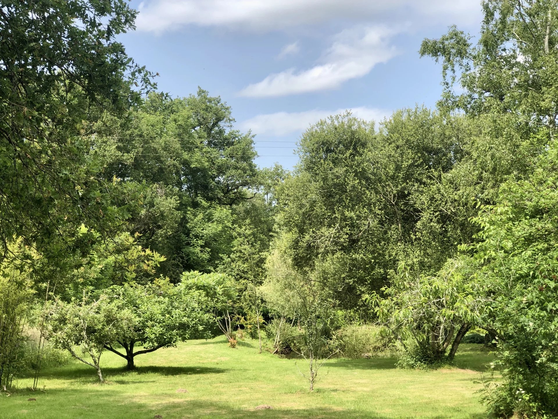 Charming House in Azat le Riz, Limousin – France – BVI81078