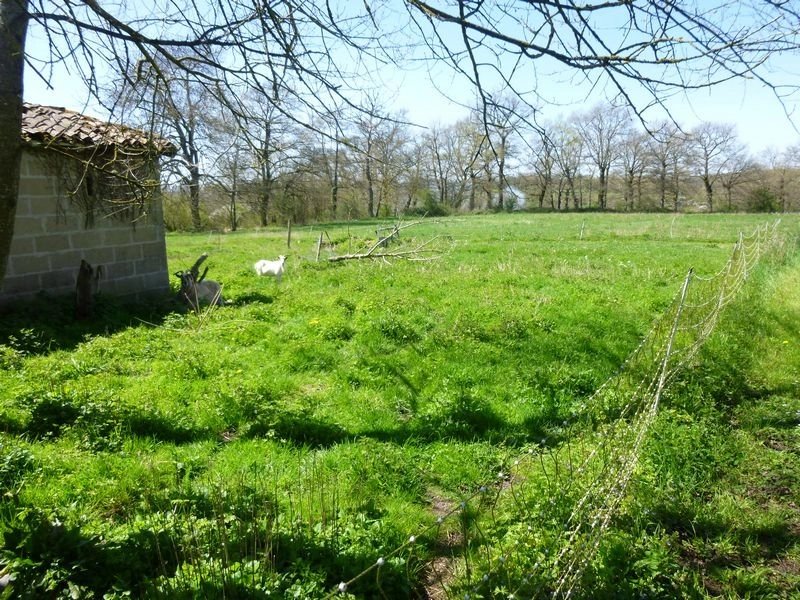 Character packed village house with income potential, Poitou-Charentes – France – BVI81962