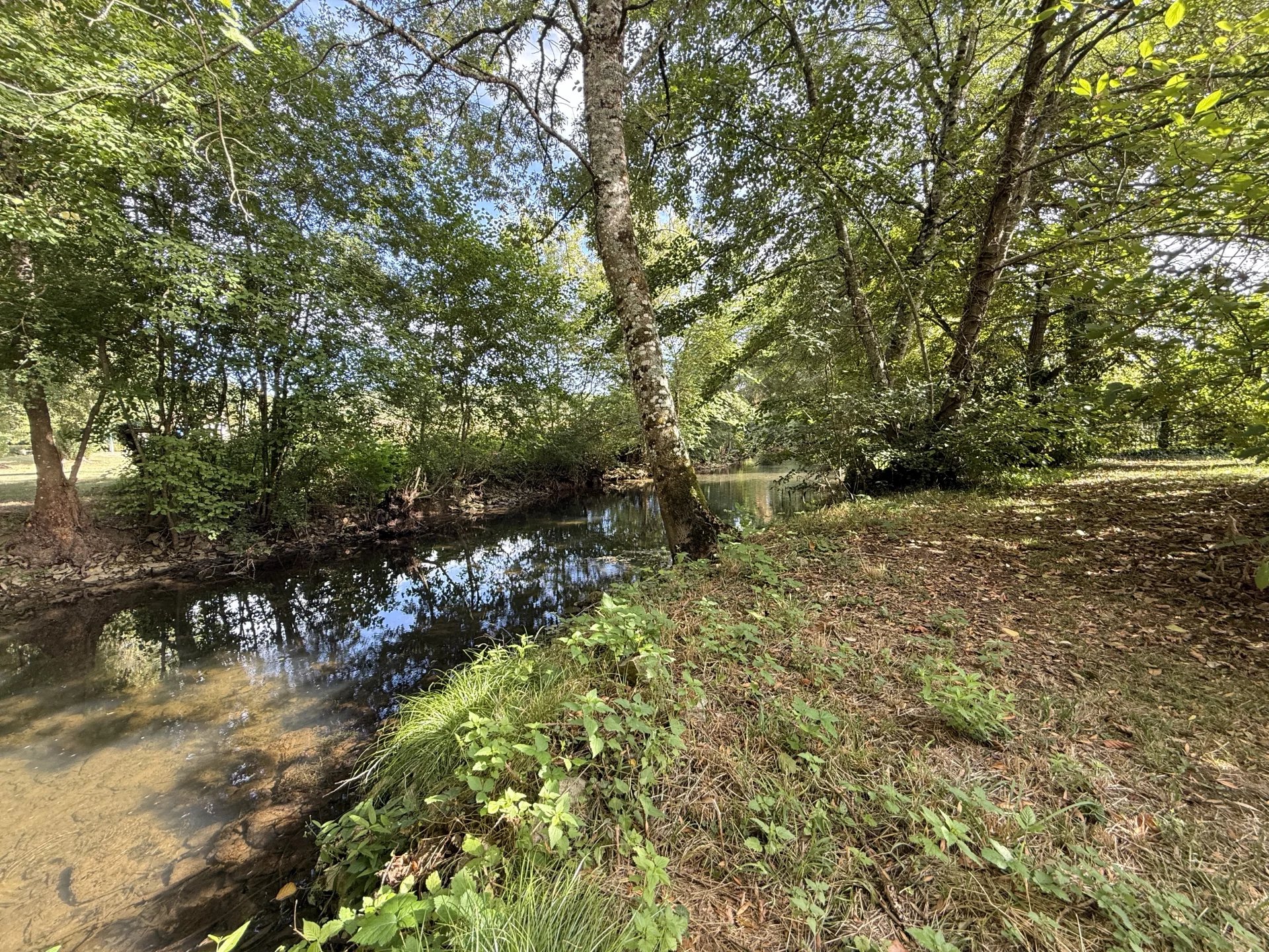 Charming 3-Bedroom Property with Riverside Land Near Verteuil-sur-Charente, Poitou-Charentes – France – BVI81989