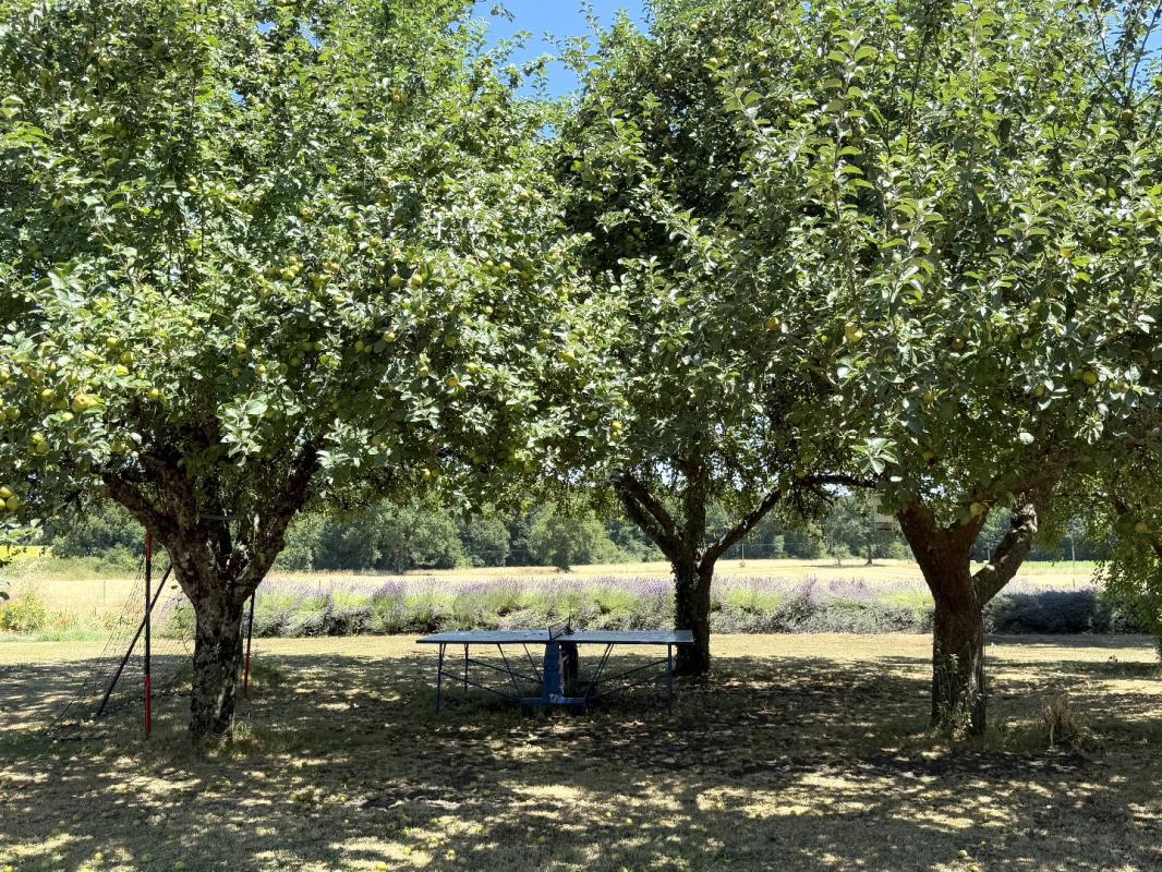 4 bedroom maison in Bellon, Charente, France