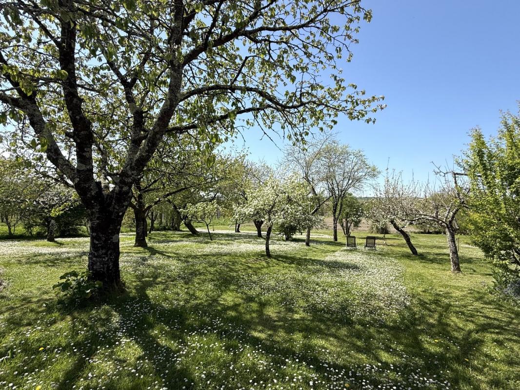 7 bedroom maison in Nanteuil Auriac De Bourzac, Dordogne, France