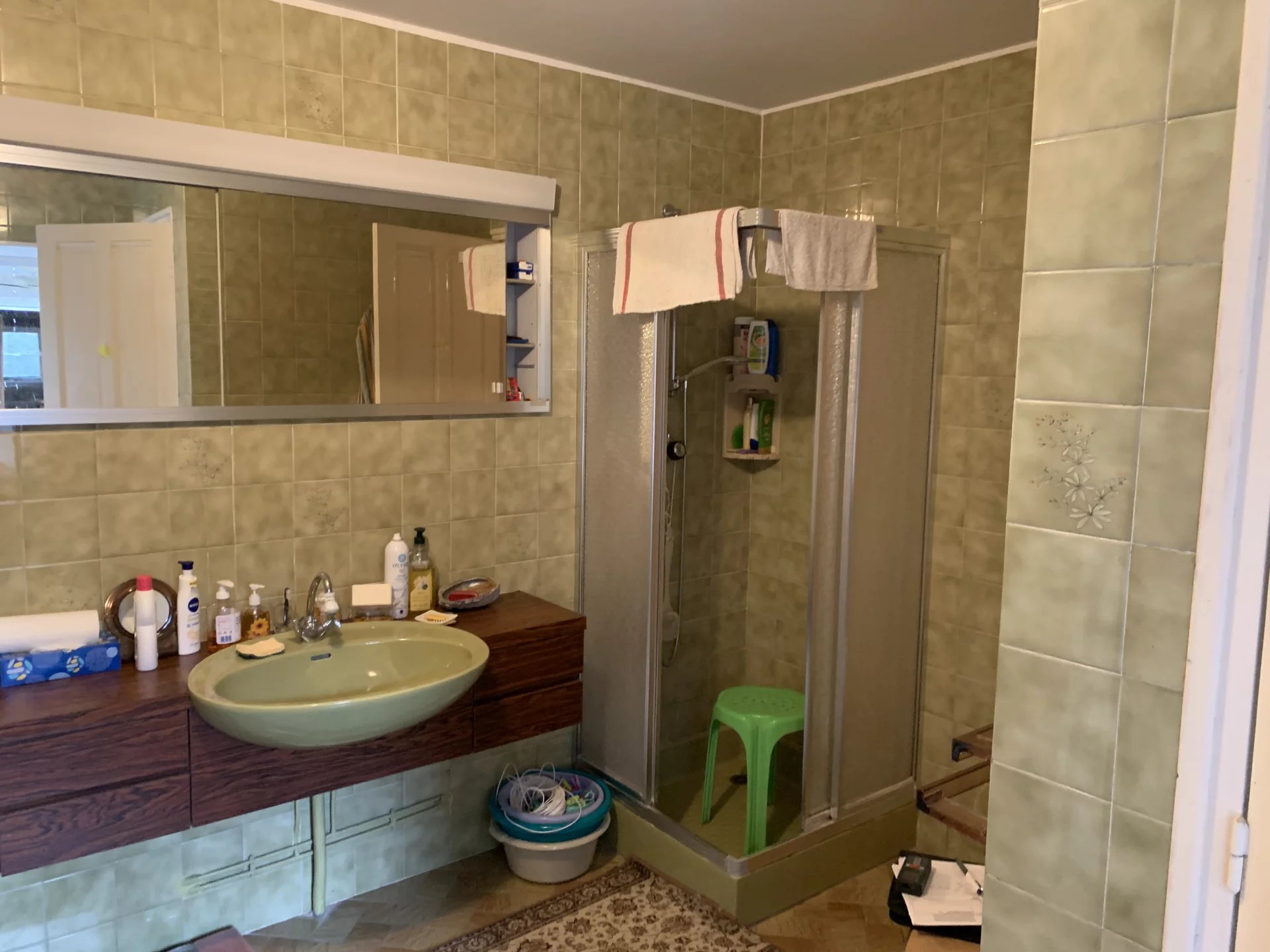 Tranquil Hamlet Home with Land, Stables and Scope for a Pool, Aquitaine – France – BVI81895