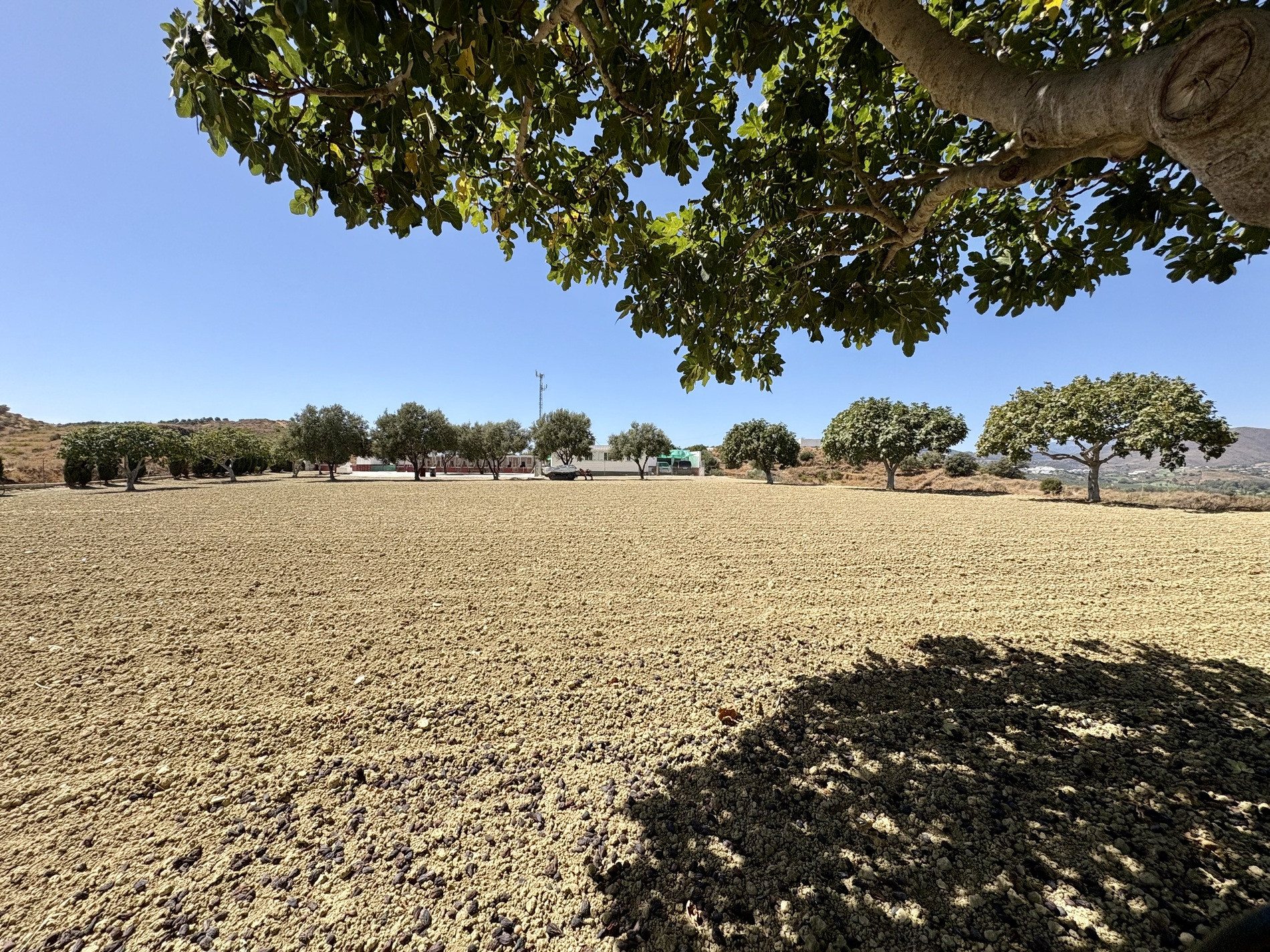 2 bedroom Plot in Mijas Costa, Malaga, Spain – 428-04479P