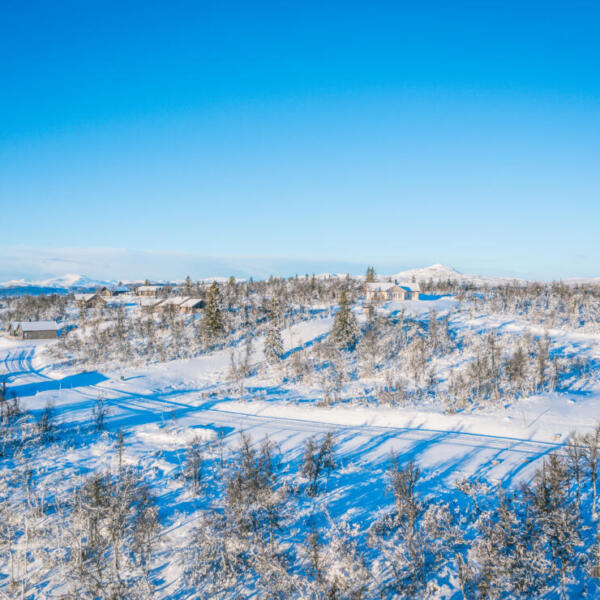 Exploring Ølsjølitoppen: Activities and Experiences Await