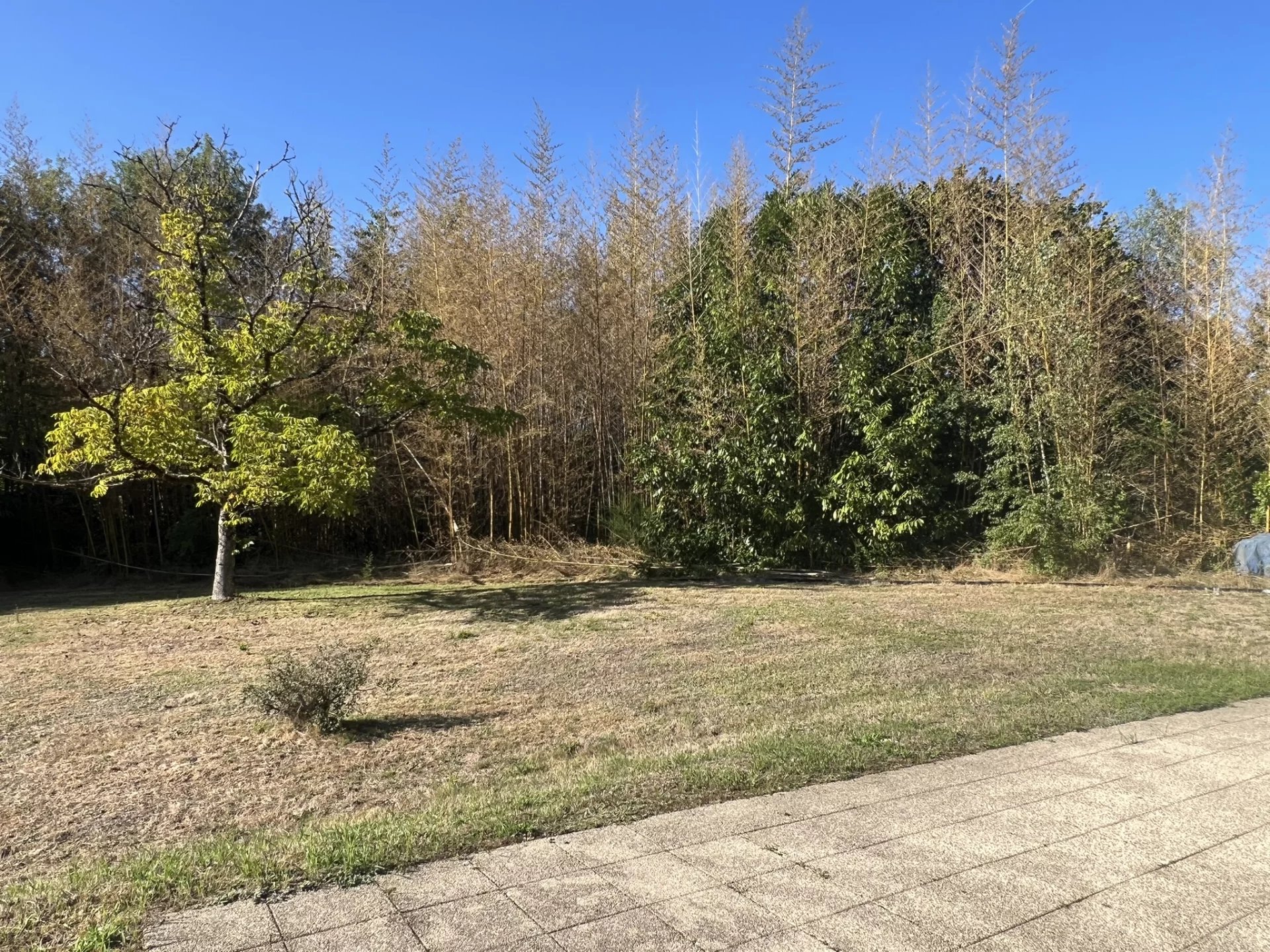 Off-Grid Vibes, On-Point Comfort – Your Hidden Chalet Getaway, Limousin – France – BVI82598