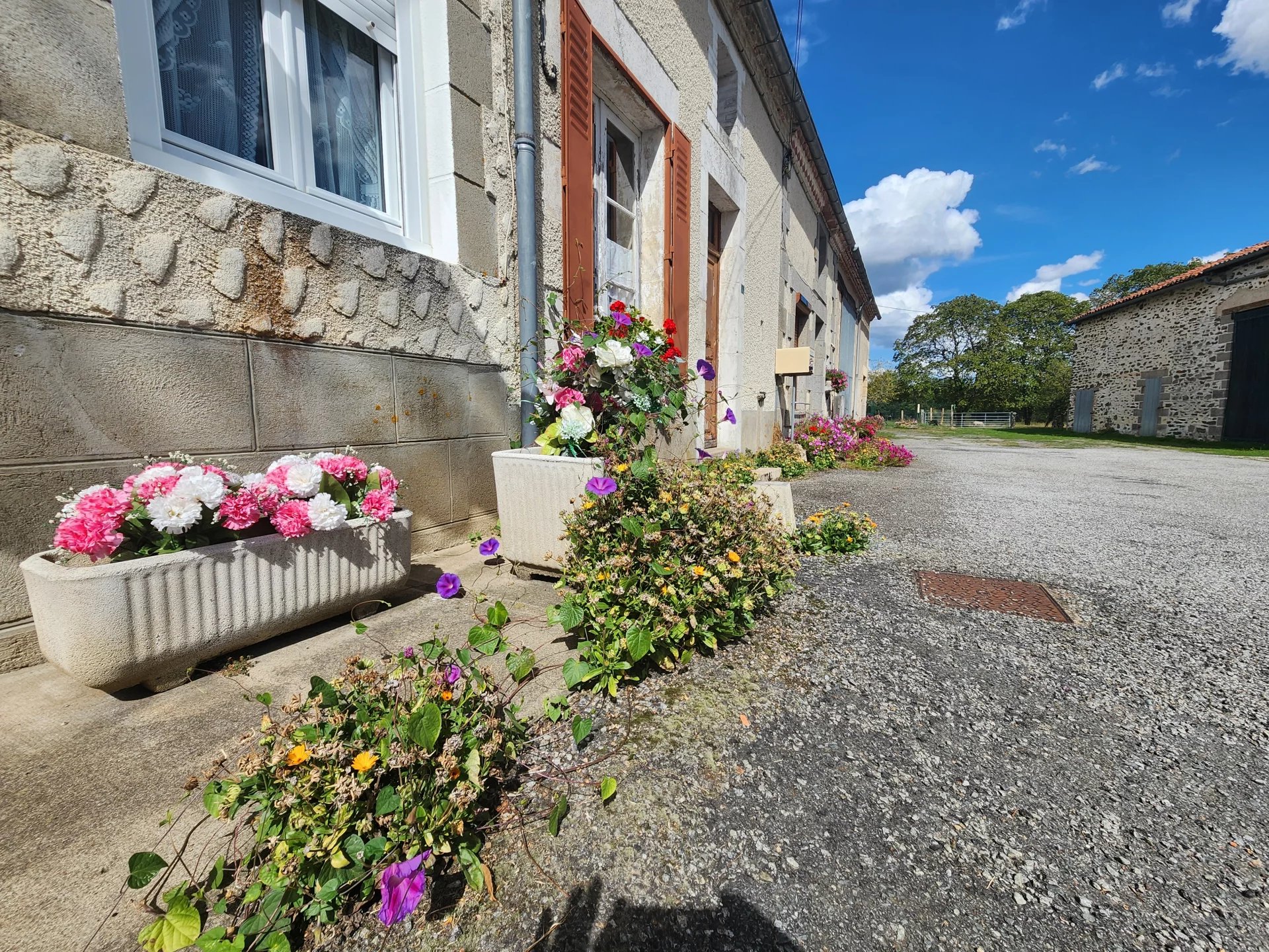 House and barns, plus house to renovate and 3.8 hectares of land, Limousin – France – BVI82116