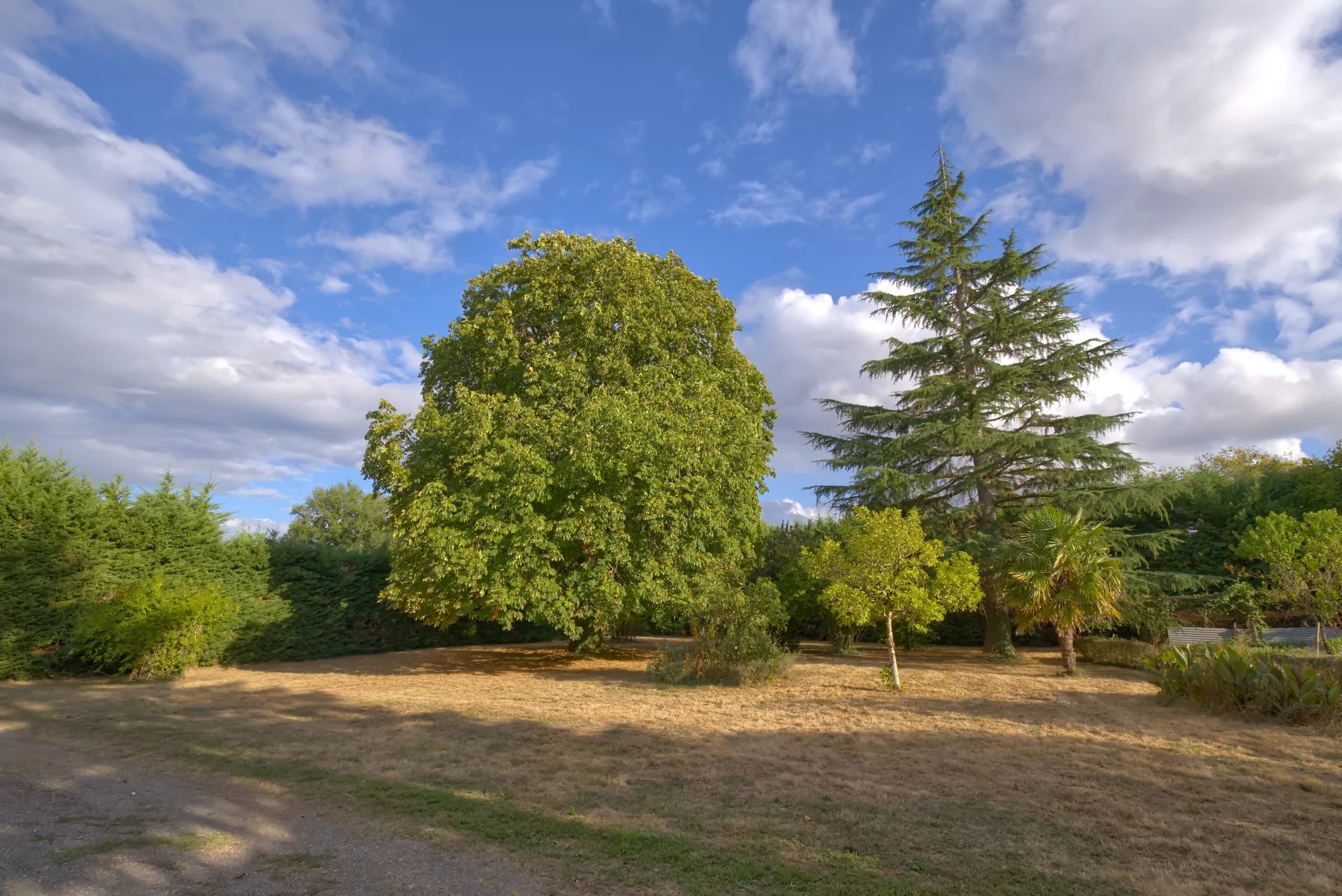 Superb Charentaise farmhouse, over 1 hectare of land, Poitou-Charentes – France – BVI82572