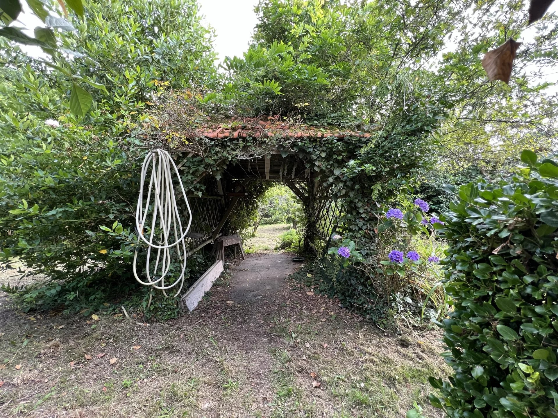 3 bed house with guest house and 5 acres of land, Limousin – France – BVI71397