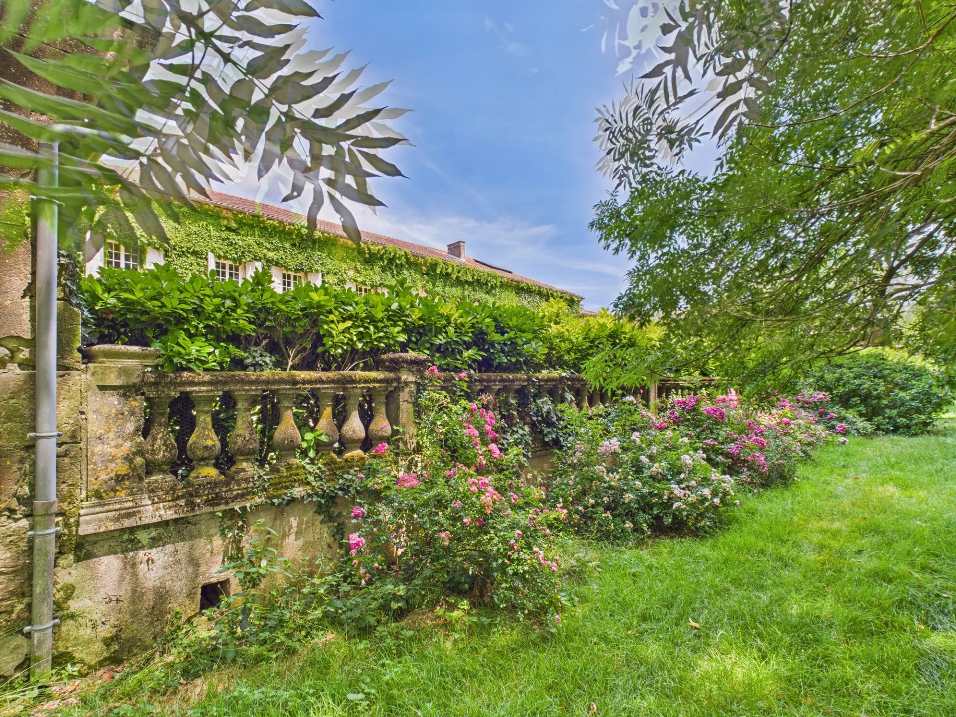 Large character house with lots of space and 6 horse stalls., Midi-Pyrénées – France – BVI81217