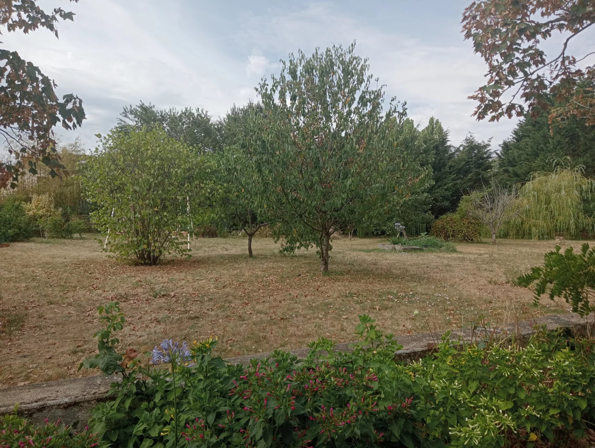 Attractive character house, Poitou-Charentes – France – BVI81889