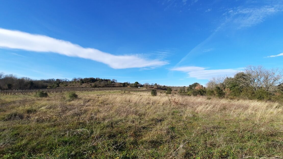 Other in Saint Genies De Fontedit, Herault, France – as9500e