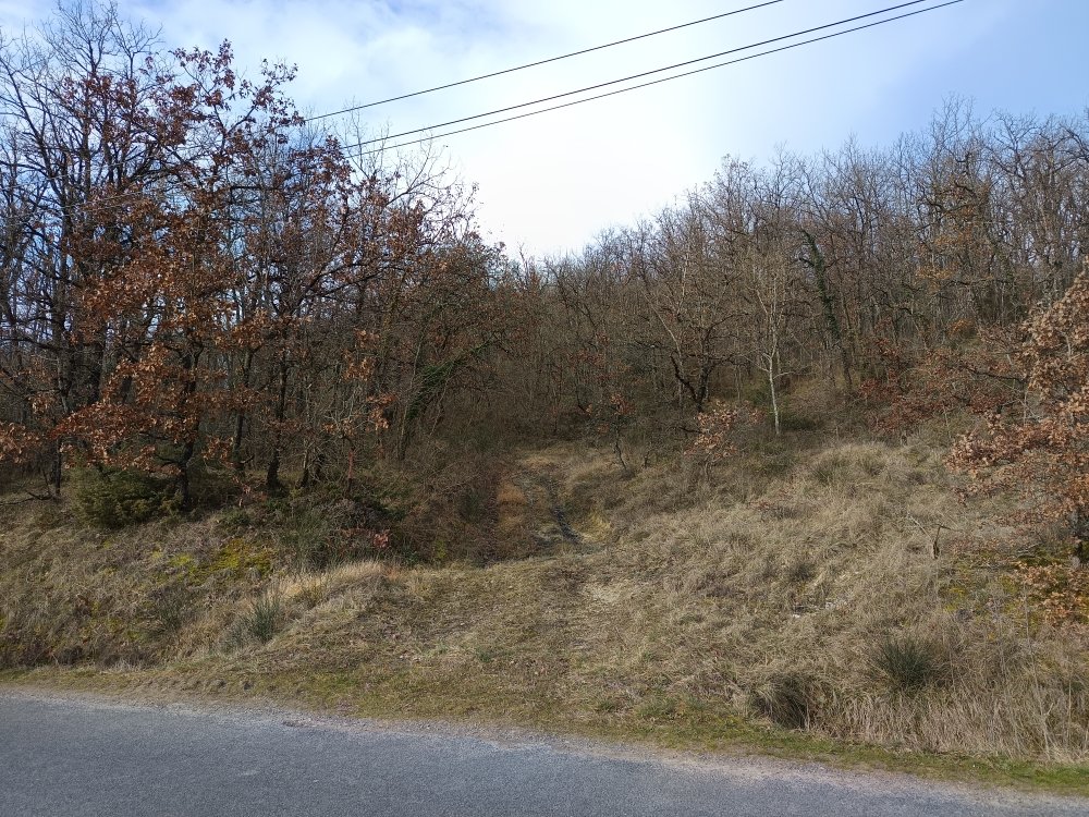 foret in Graulhet, Tarn, France – 0D80B7C0E91C478A