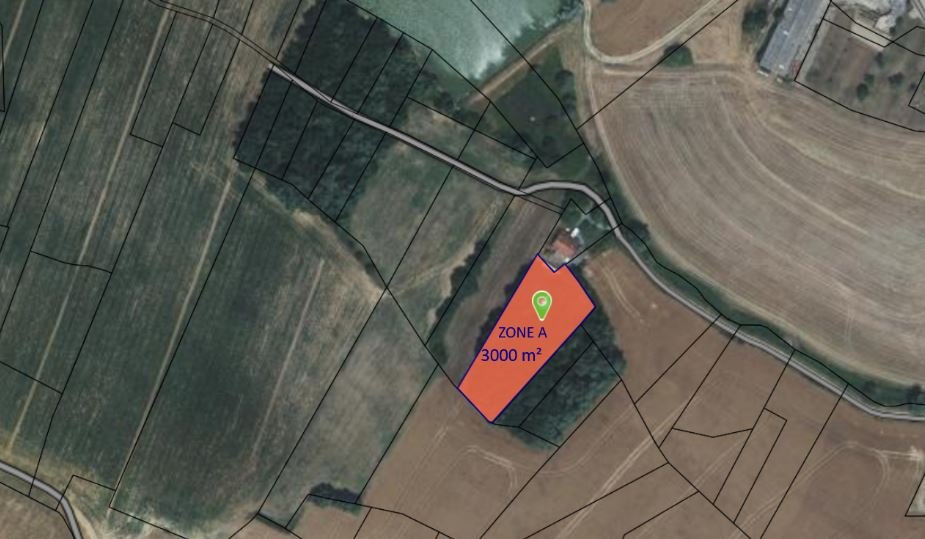 foret in Graulhet, Tarn, France