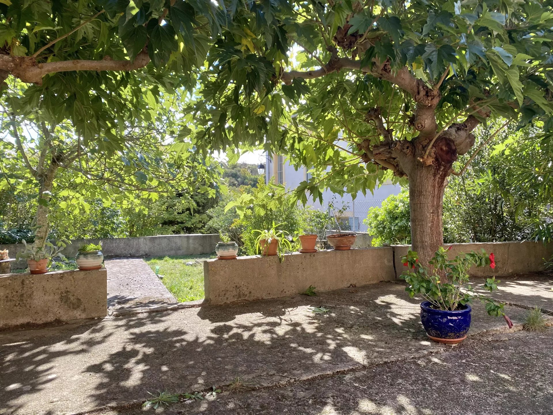 Charming stone 2 bedroom property in sought-after village, Languedoc-Roussillon – France – BVI82869