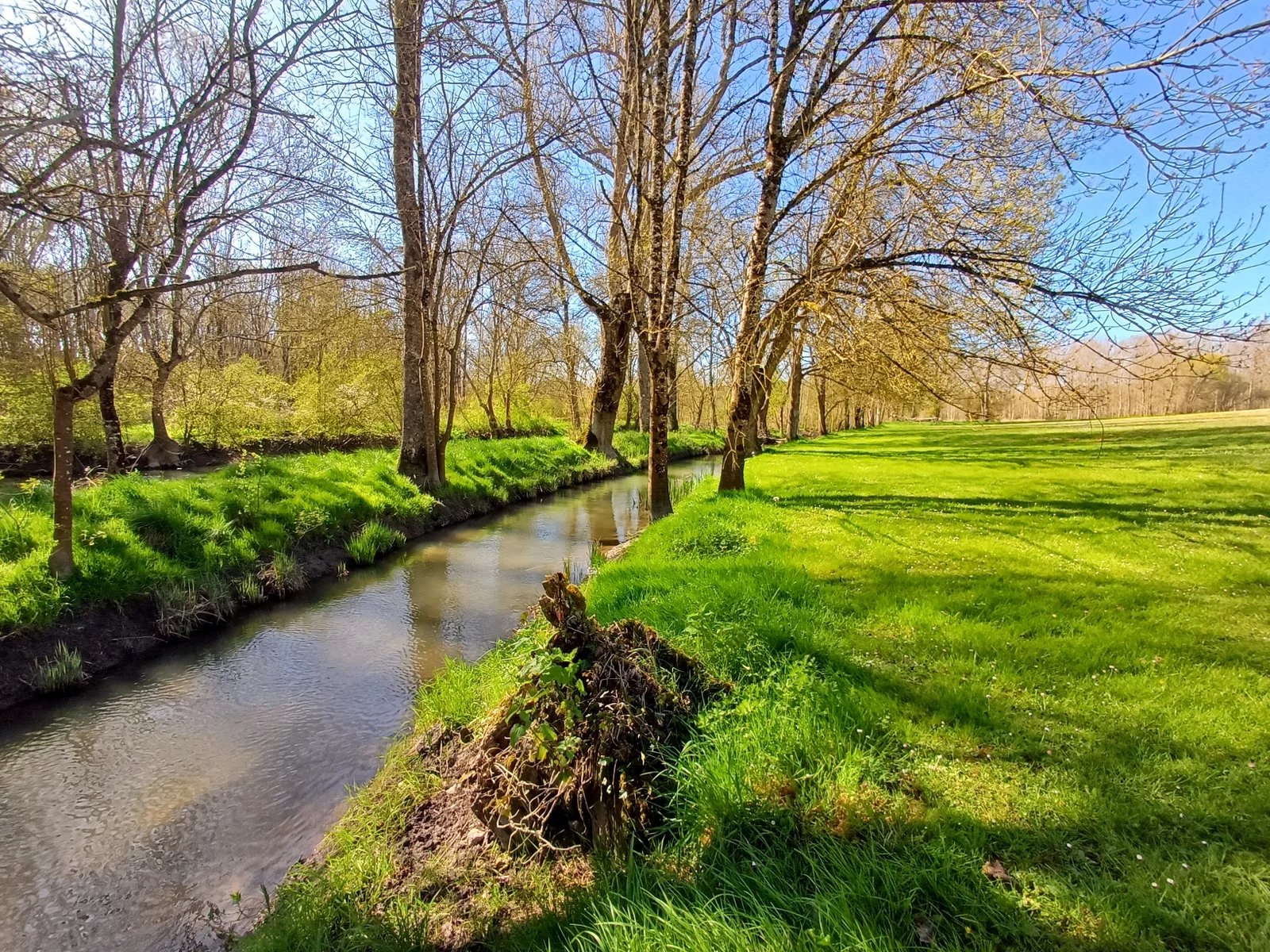 Charming Cottage with River Views, Poitou-Charentes – France – BVI82482