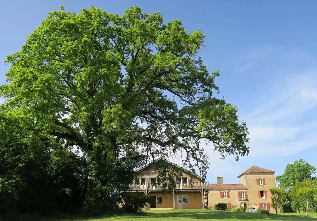 Exceptional property with stunning views of the Pyrenées, Midi-Pyrénées – France – BVI81862