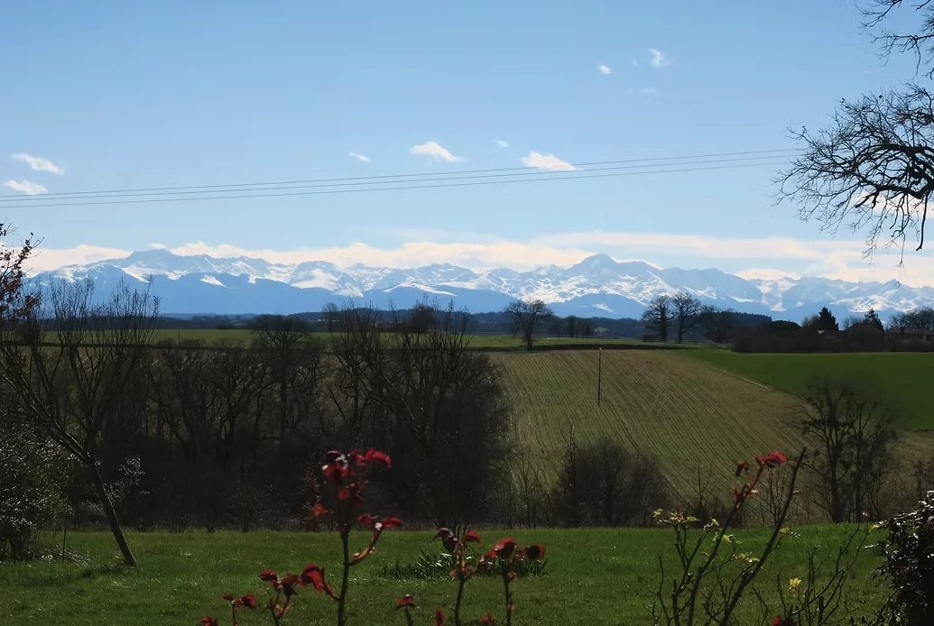 Exceptional property with stunning views of the Pyrenées, Midi-Pyrénées – France – BVI81862