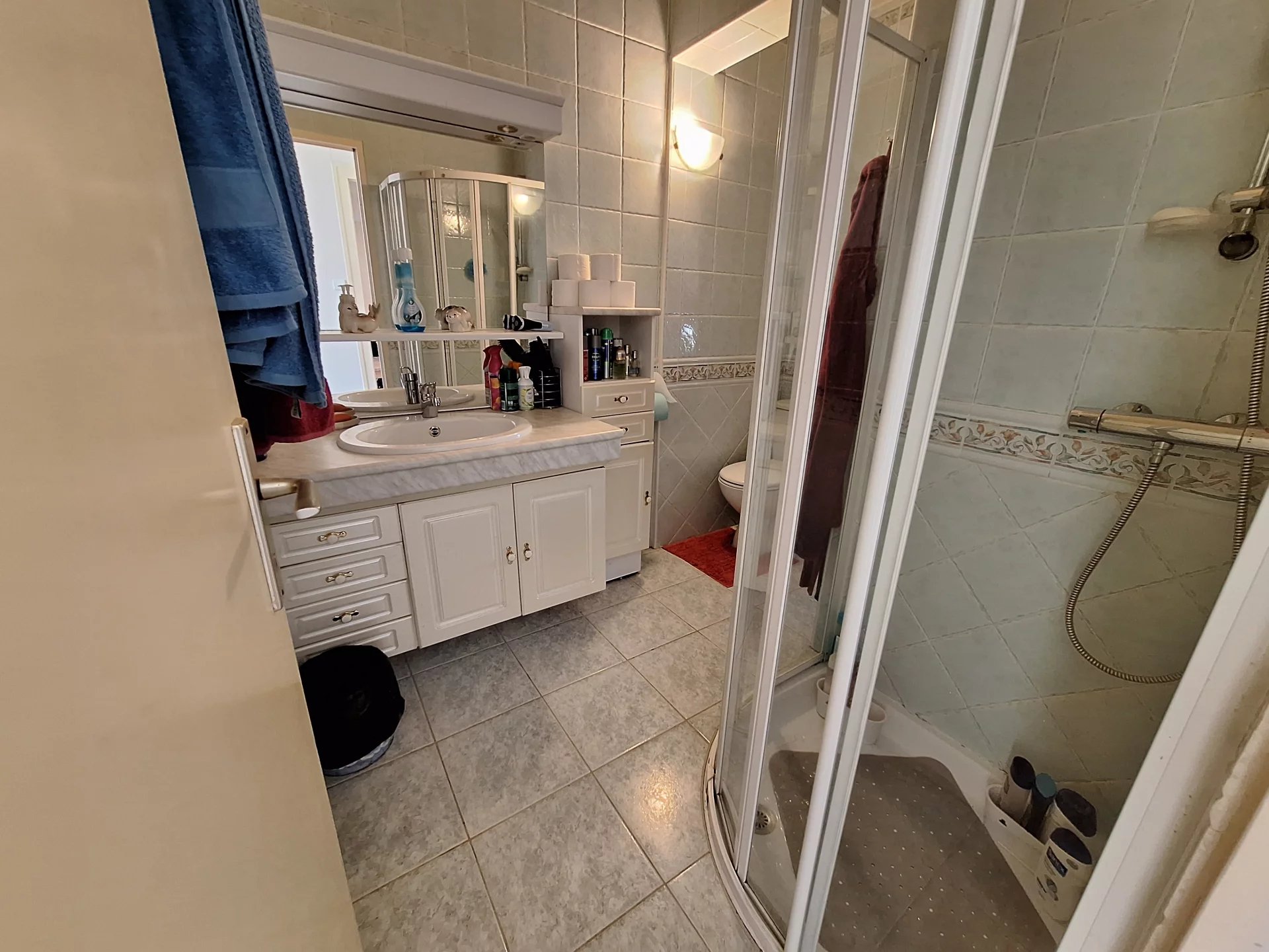 Spacious detached village home, Poitou-Charentes – France – BVI82840