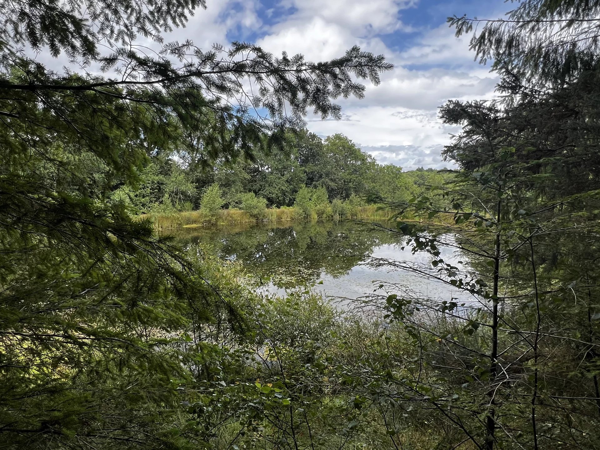 Leisure lake with surrounding land and woodland, Limousin – France – BVI82639