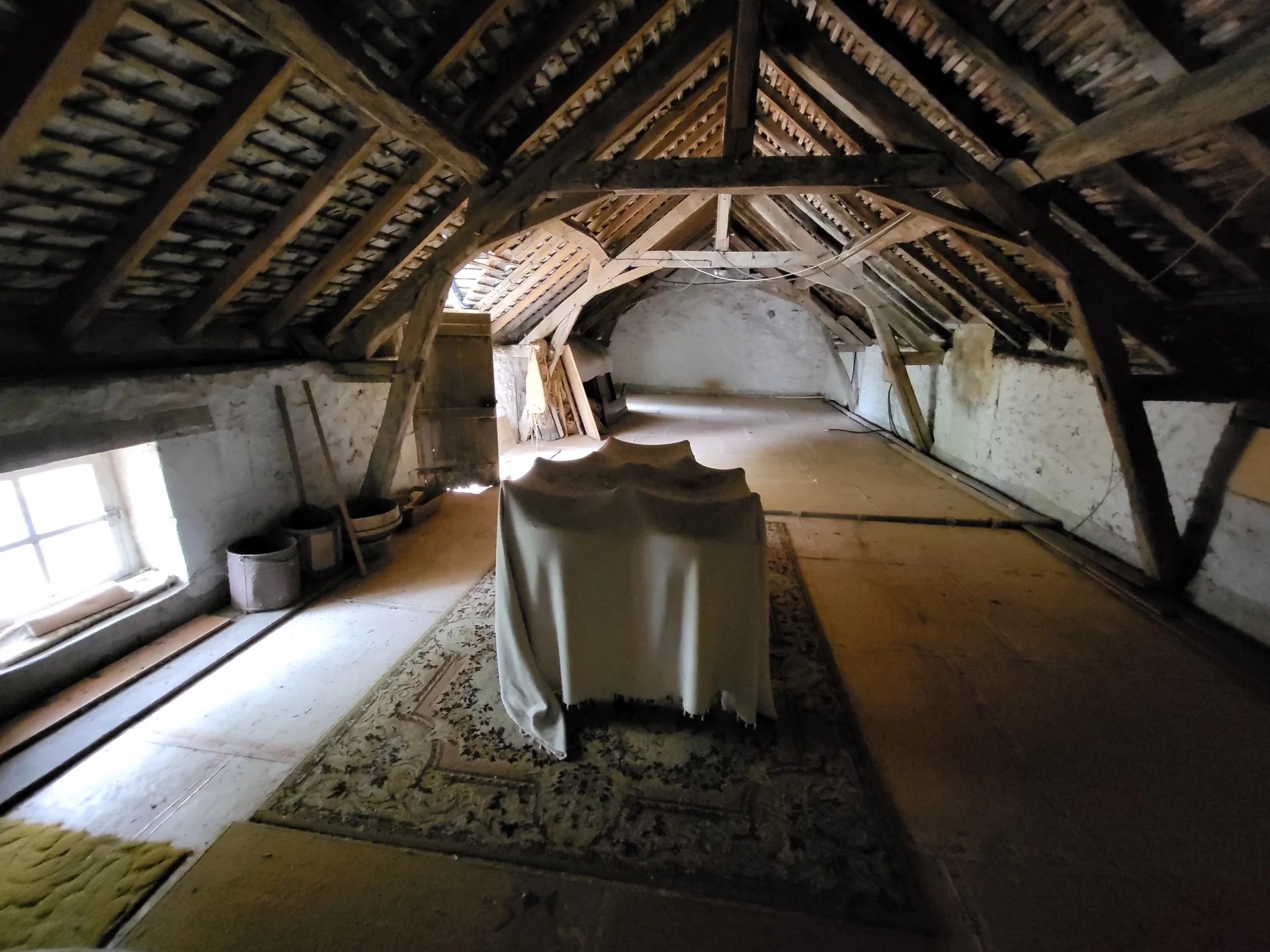 Charming fermette ready for an upgrade!, Poitou-Charentes – France – BVI82461