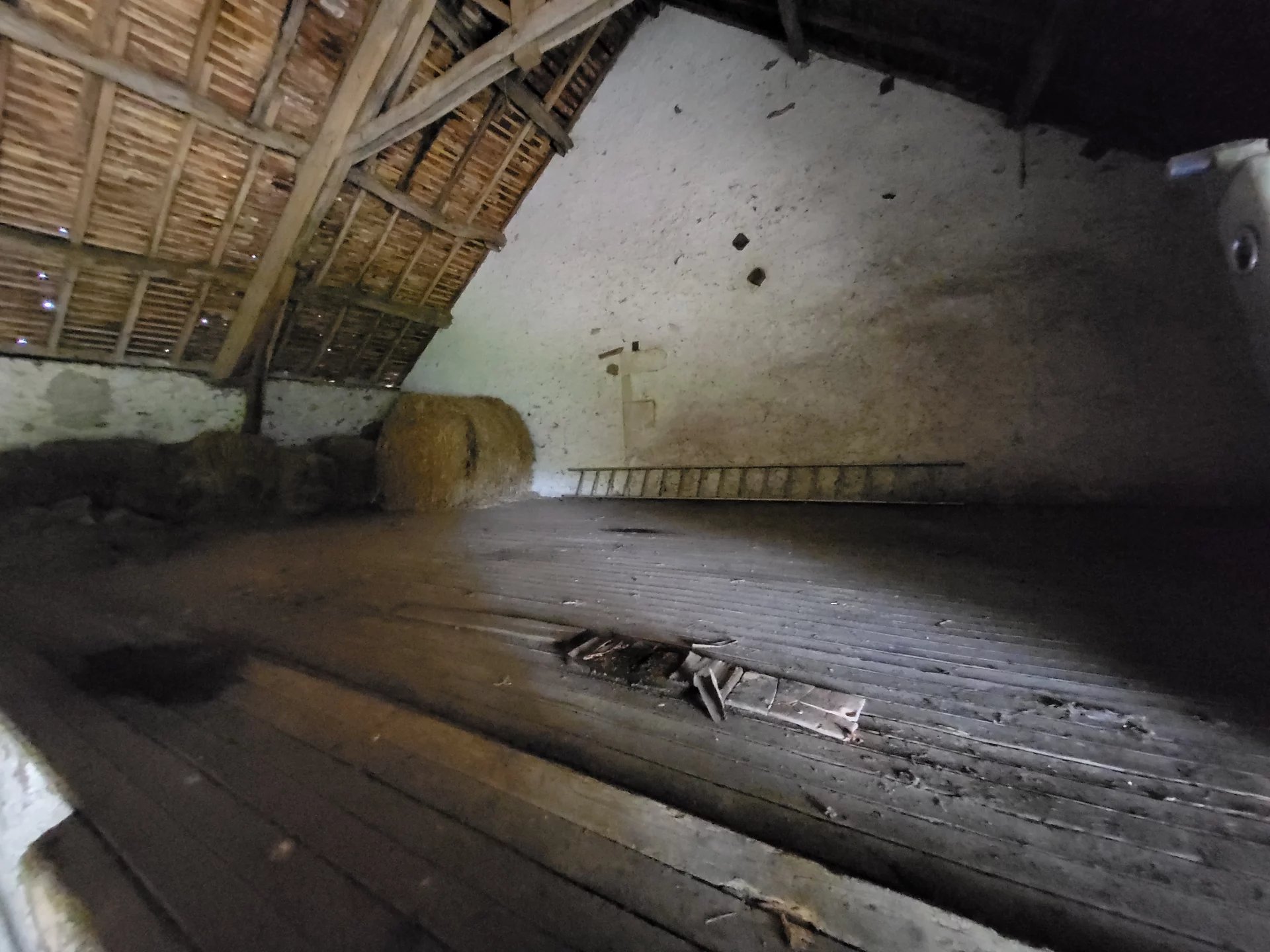 Charming fermette ready for an upgrade!, Poitou-Charentes – France – BVI82461