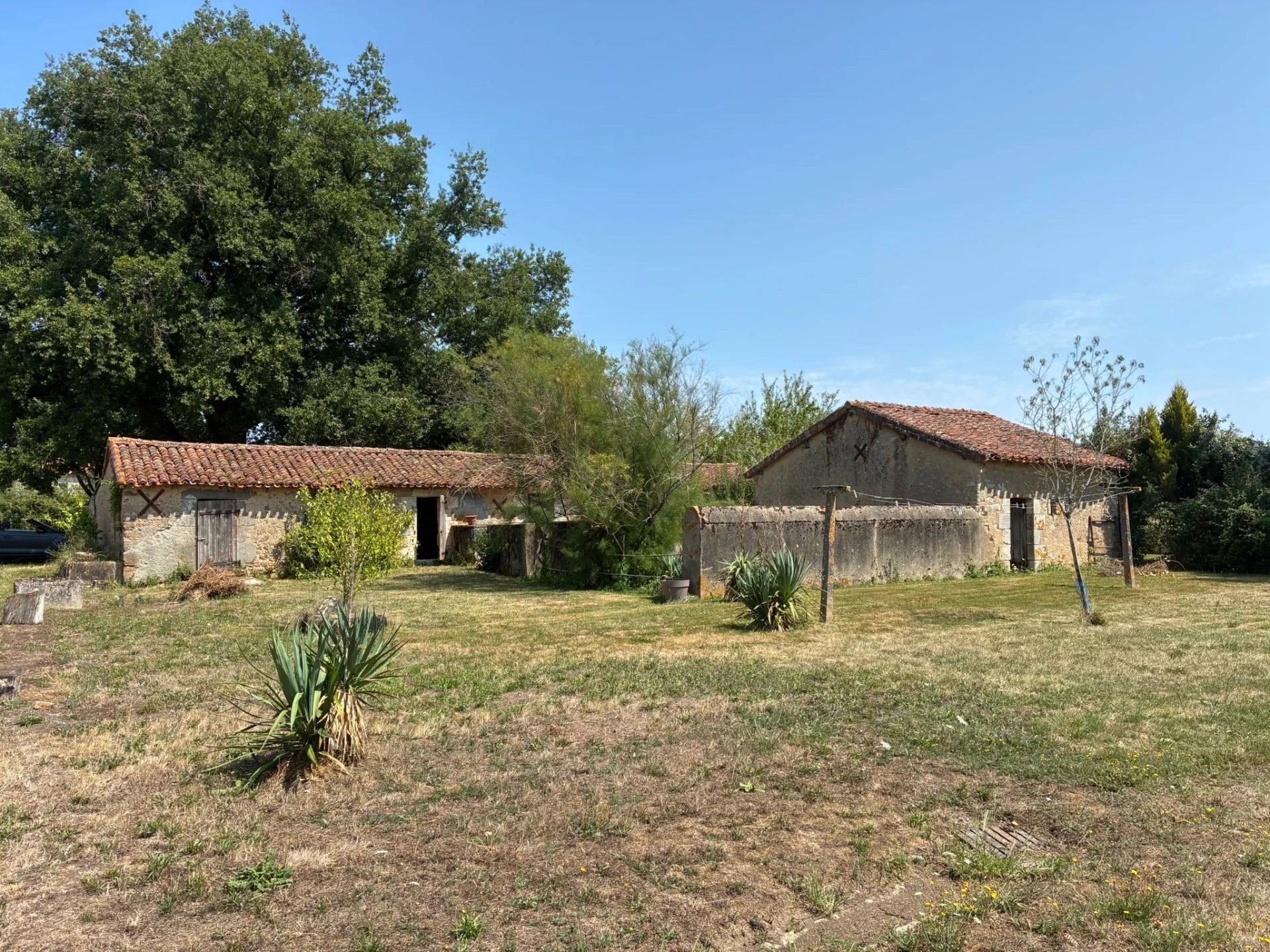 Large traditional farmhouse with outbuildings, Poitou-Charentes – France – BVI83050