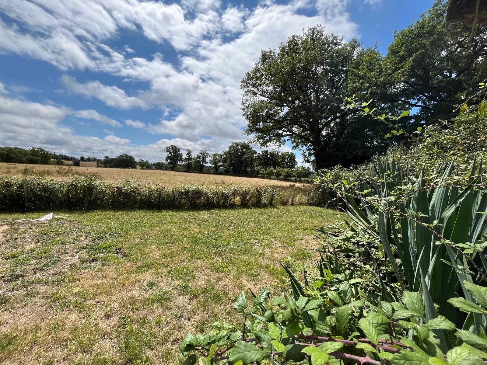 Large traditional farmhouse with outbuildings, Poitou-Charentes – France – BVI83050