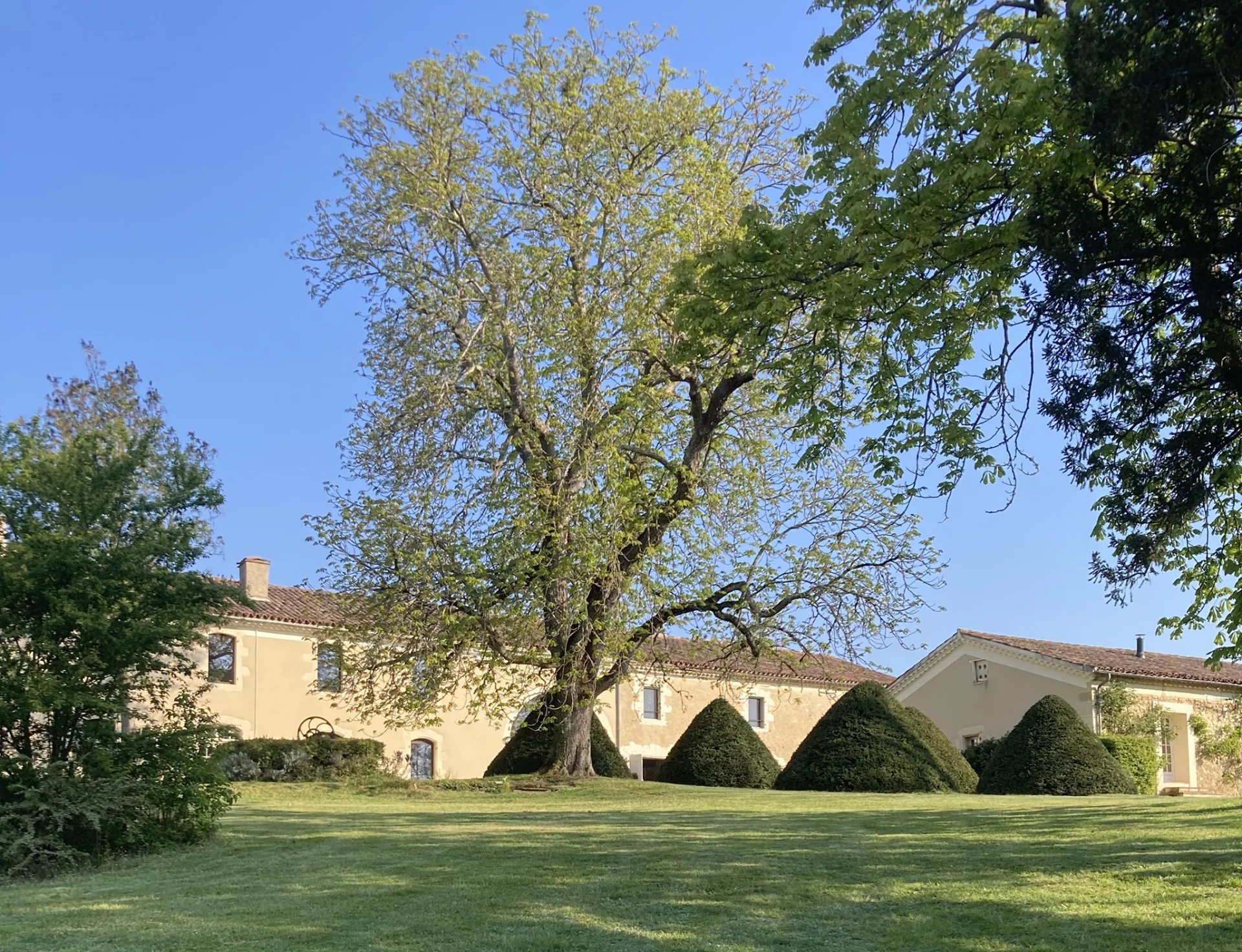 Charming Gascony Estate with Chambres d’Hôtes and Gîtes in the Heart of 14 Hectares of Preserved Nature, Midi-Pyrénées – France – BVI82119