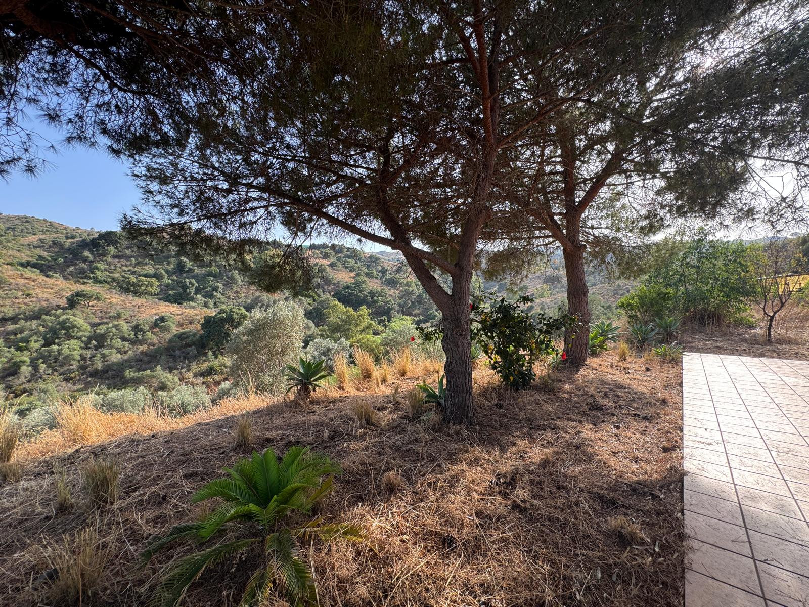 3 bedroom House in Mijas Costa, Malaga, Spain – 428-04637P